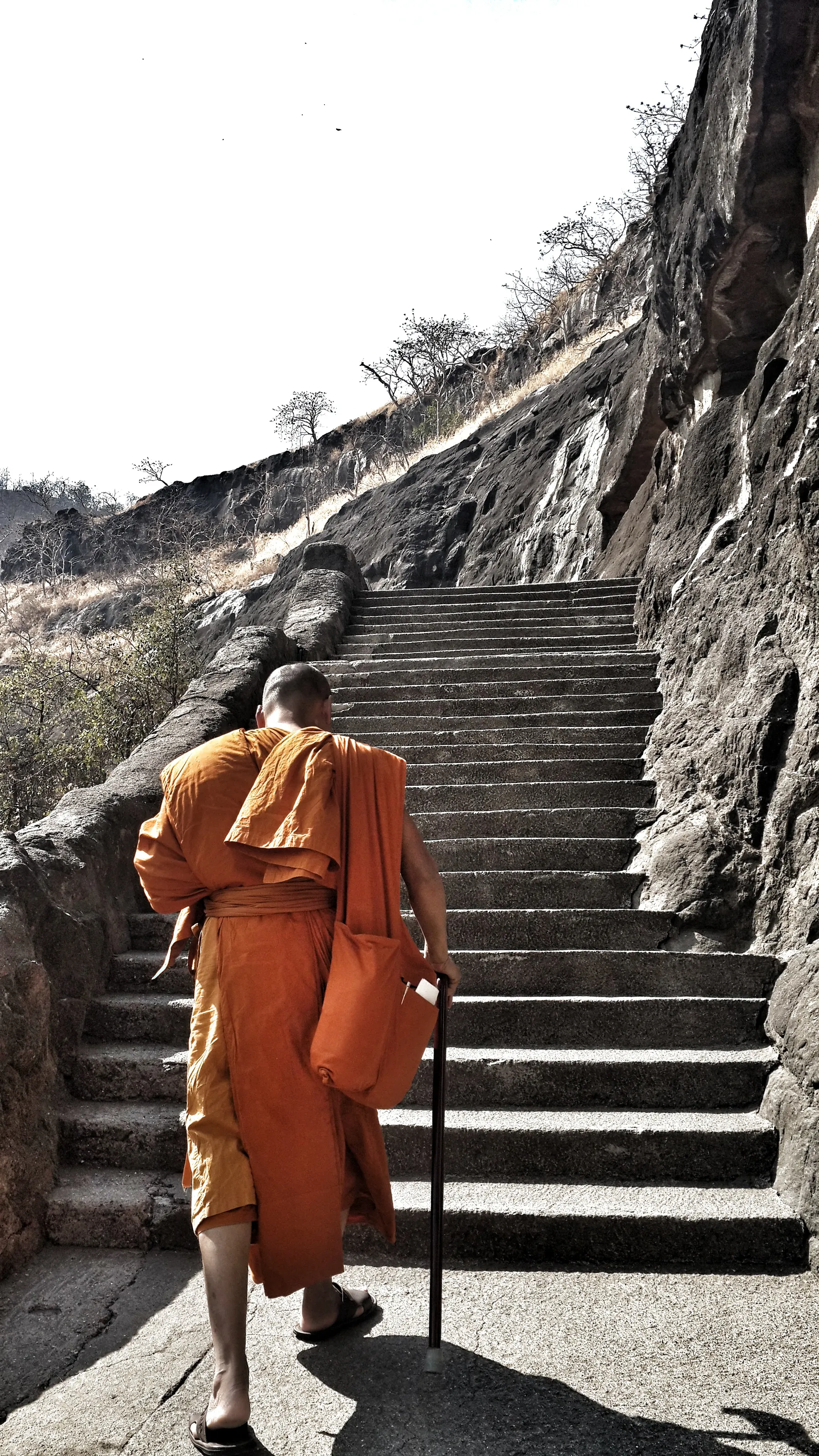 Climbing steps