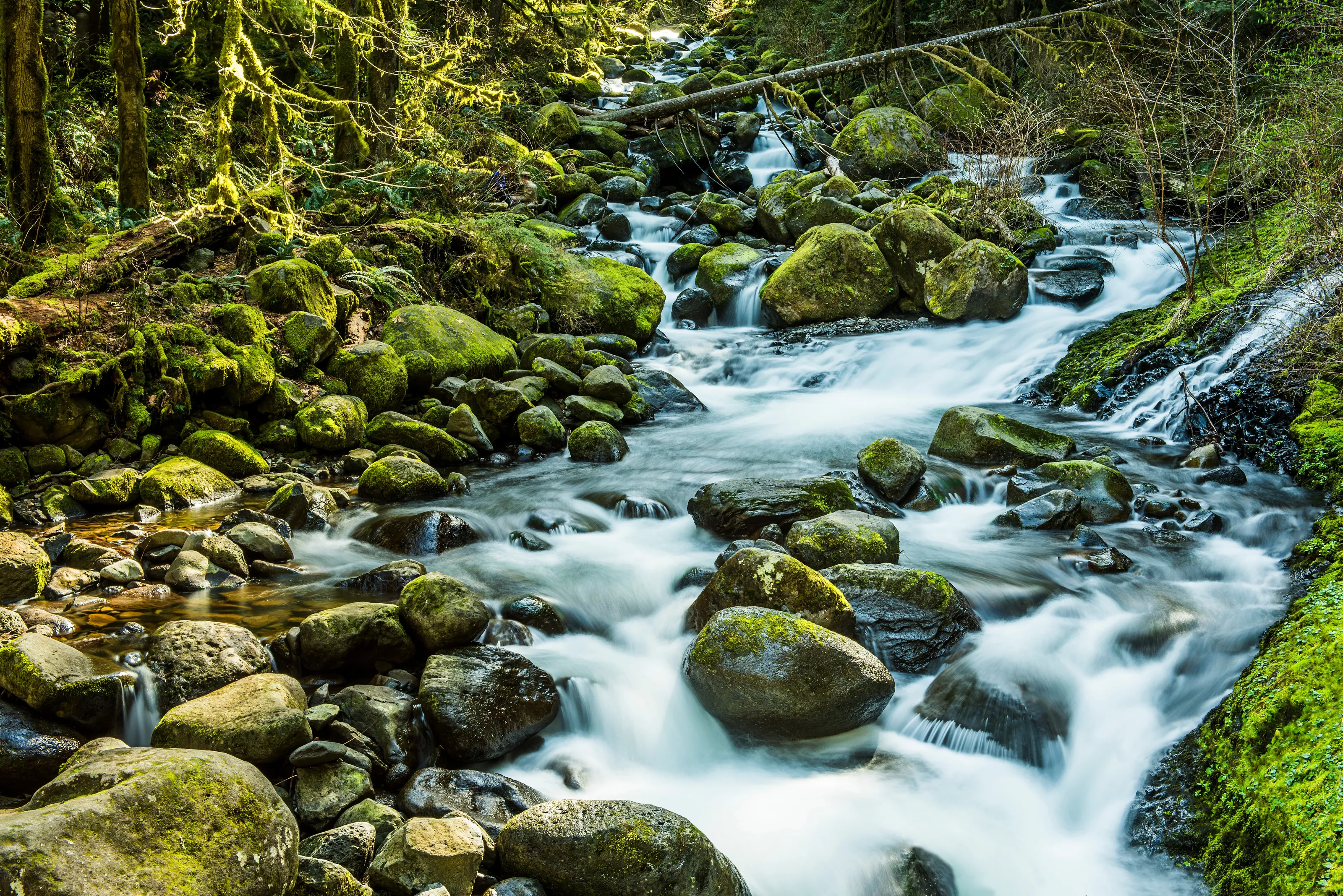 Long Exposure Creeks, Streams and Rivers