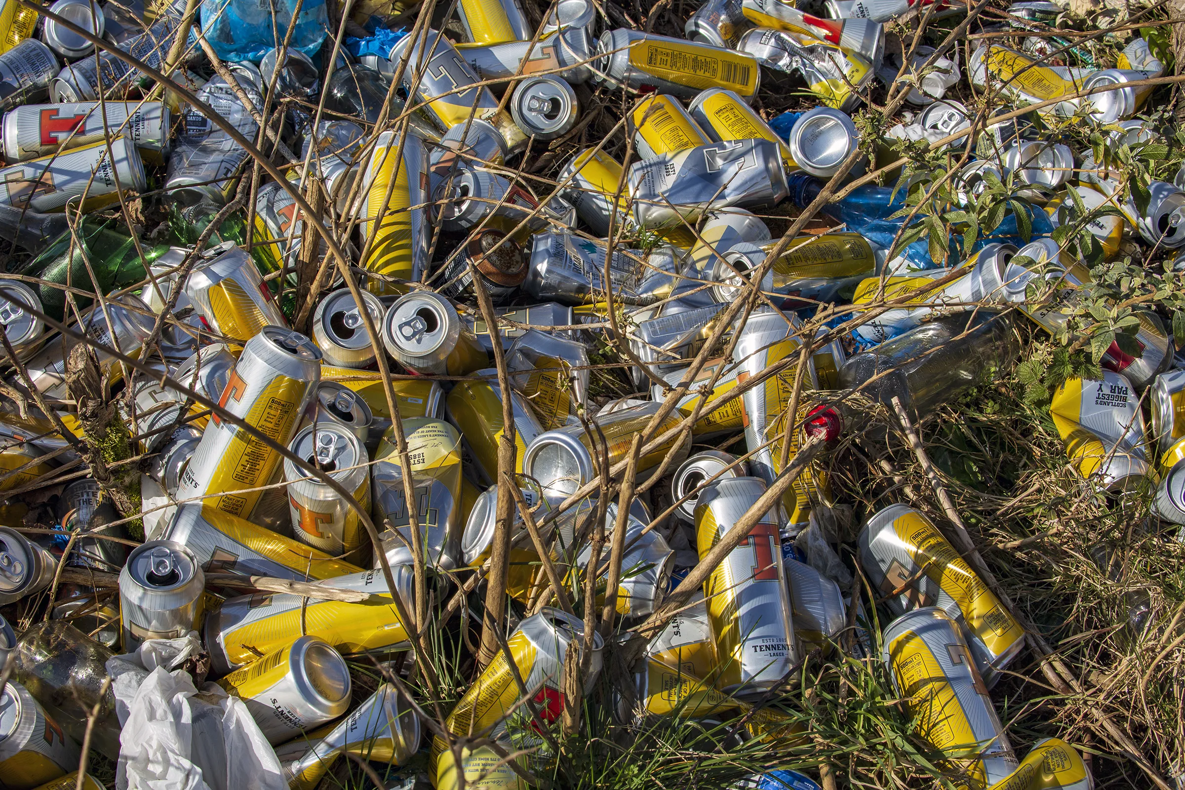 Litter