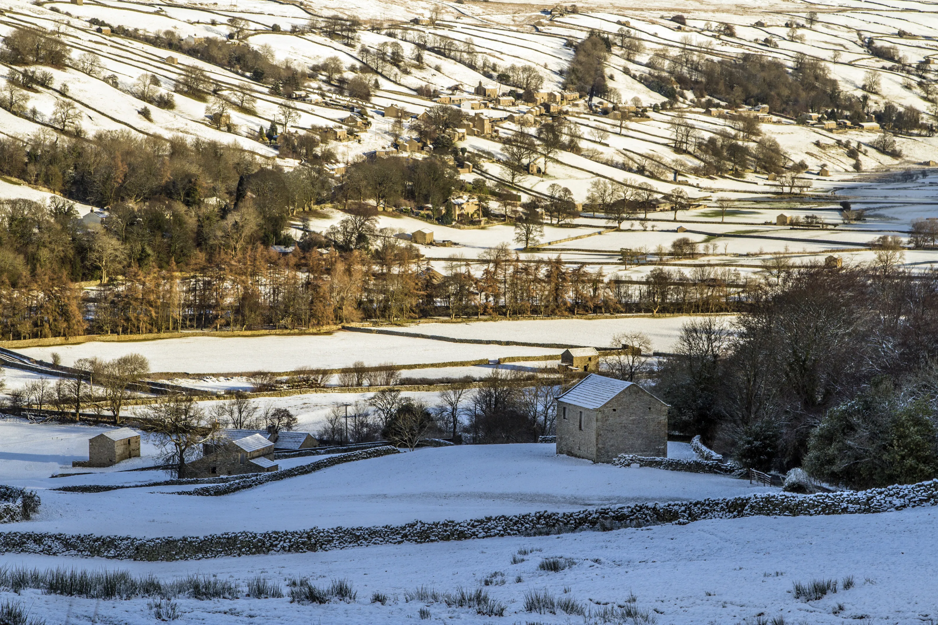 Winter Wonderland Landscapes