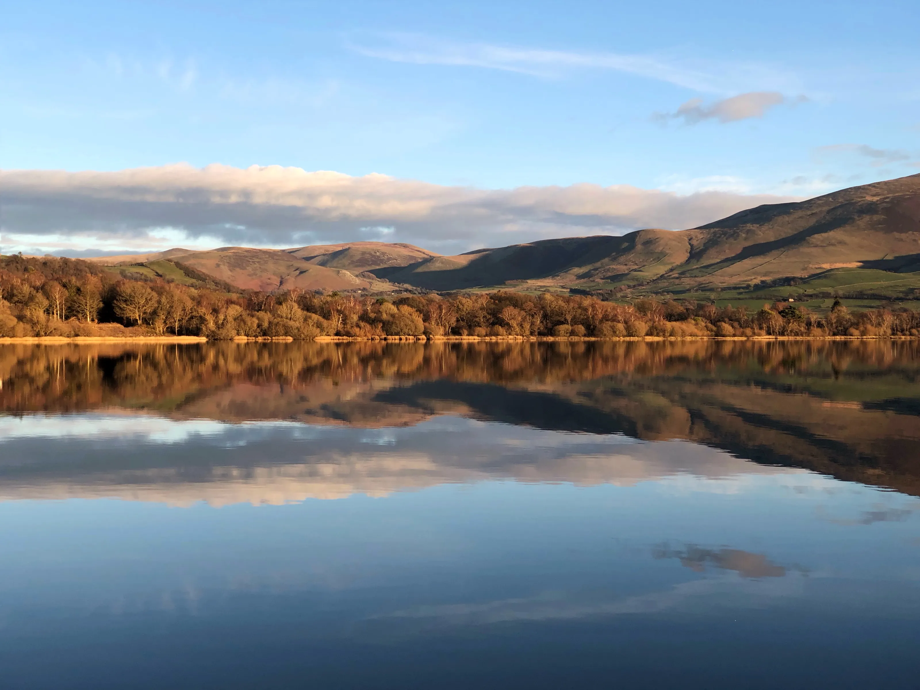 Autumn reflections