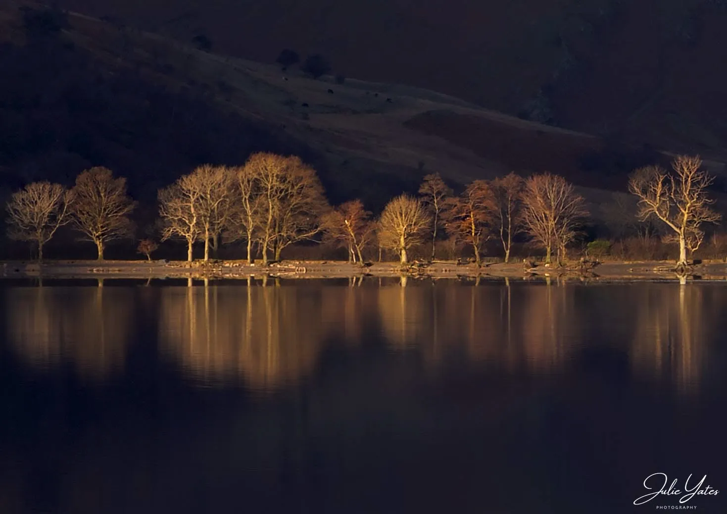 Golden Trees