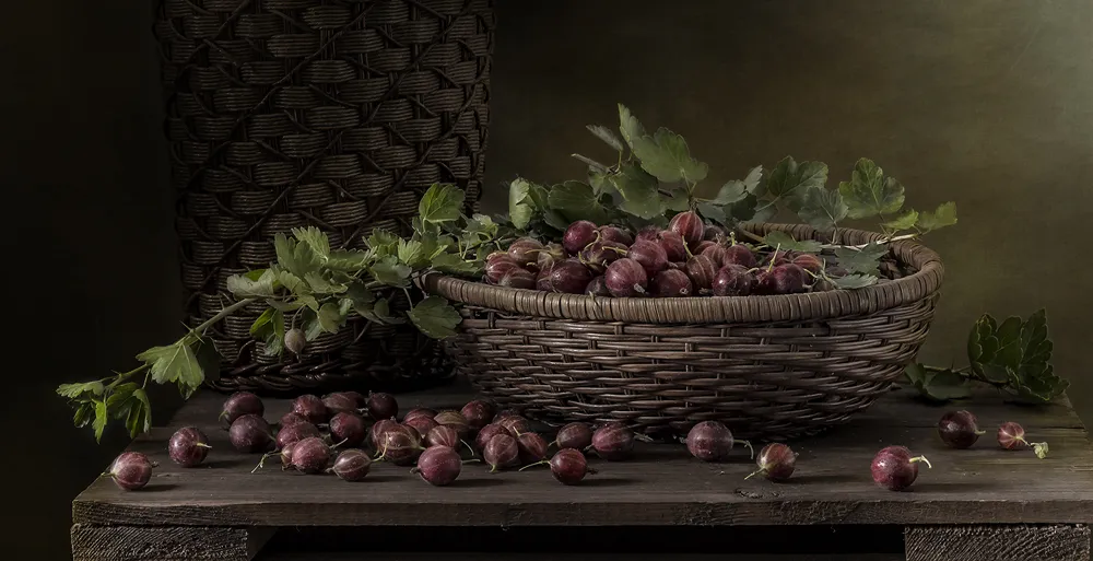 Tabletop still life