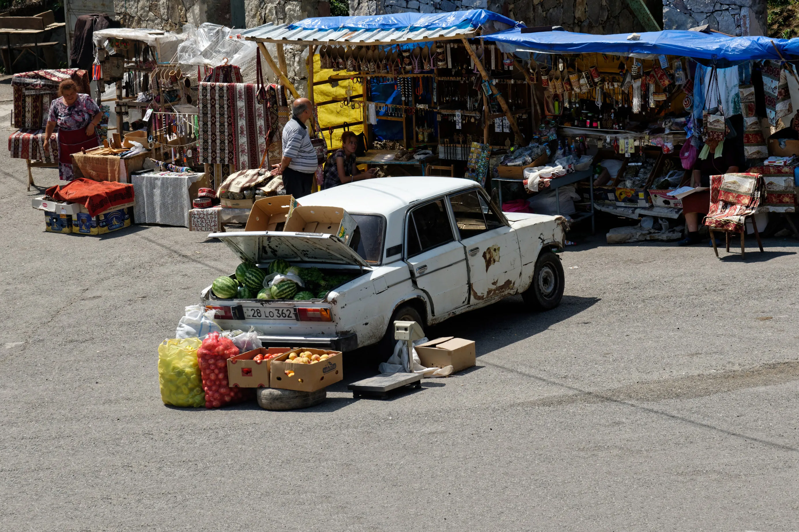 Vehicles in their Environment