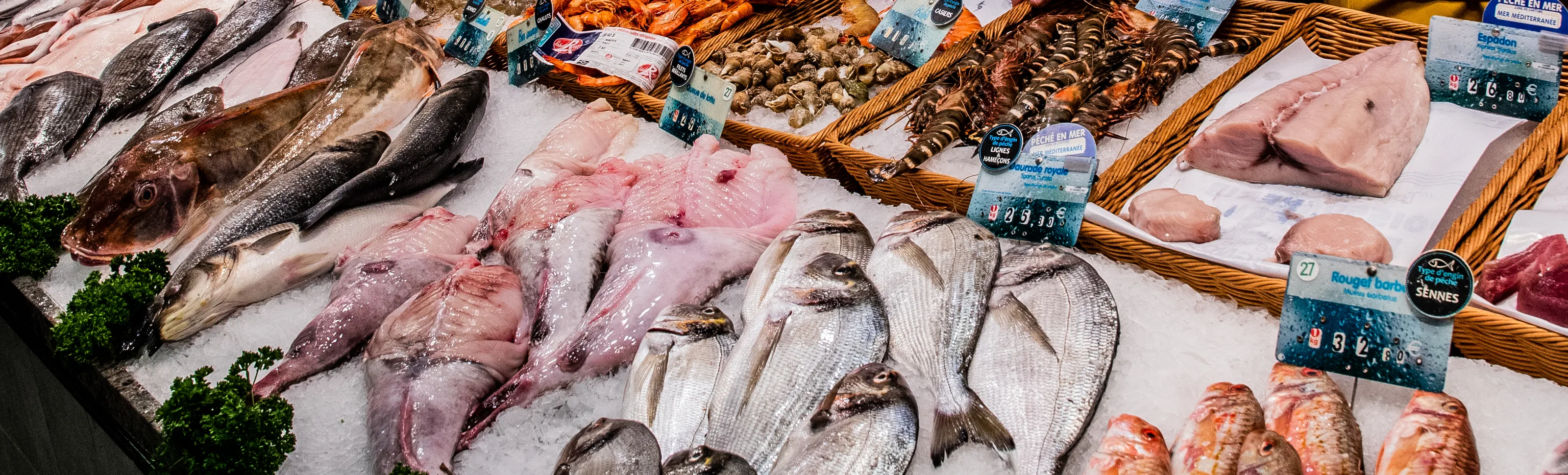 Fresh Fish on Sale