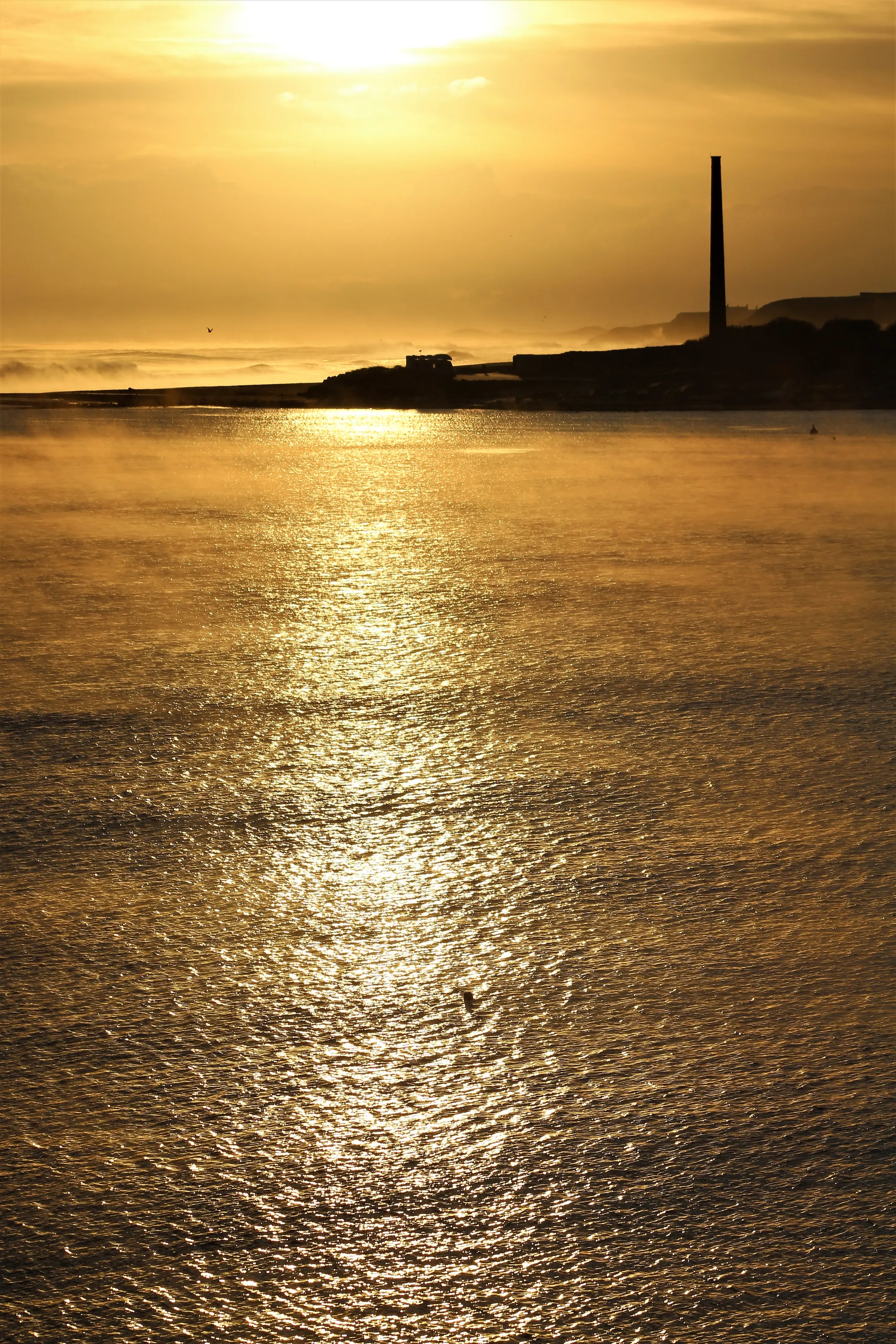 Water with Sparkle, Shimmer or Shine