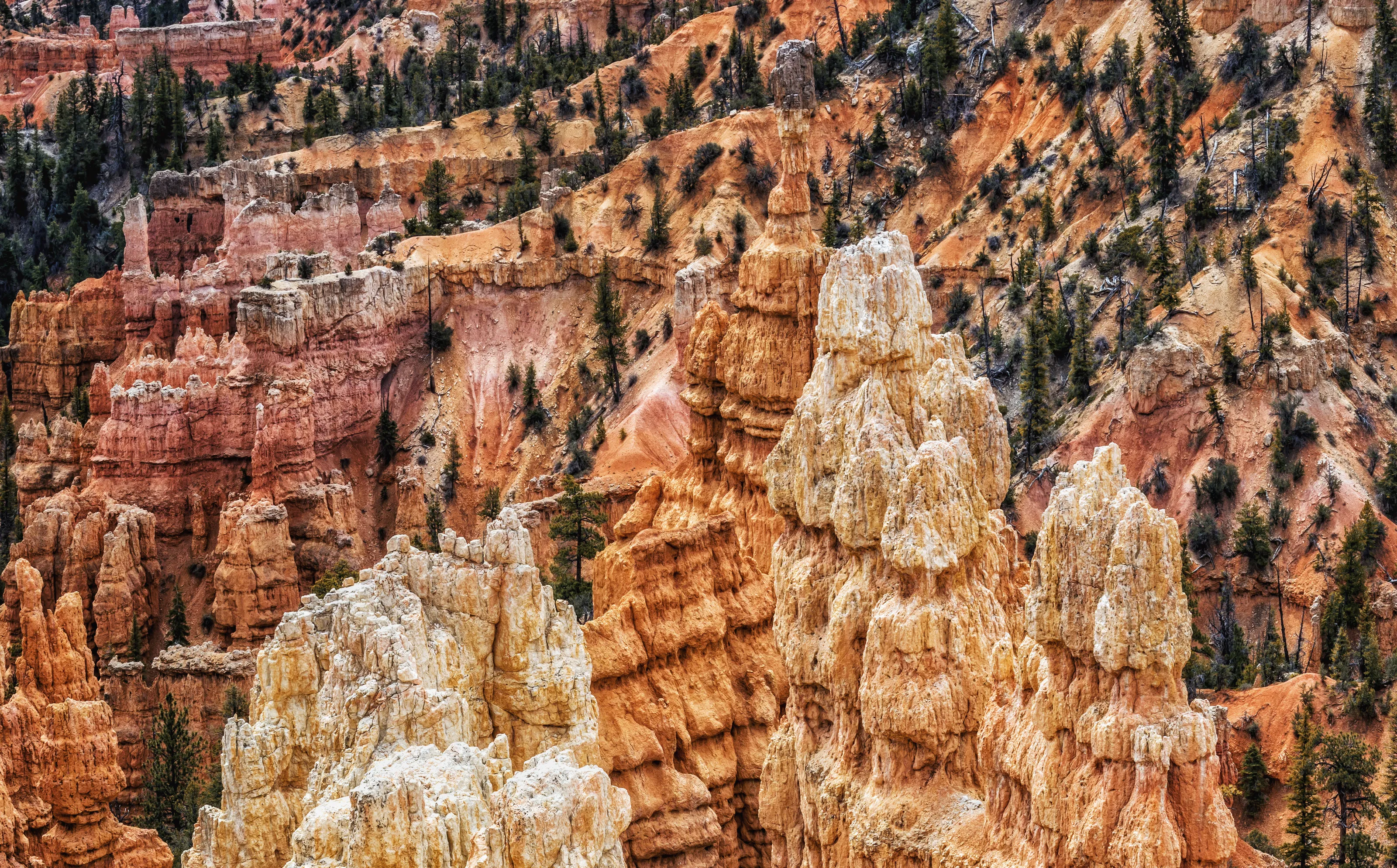 Rocks, Stones and Pebbles