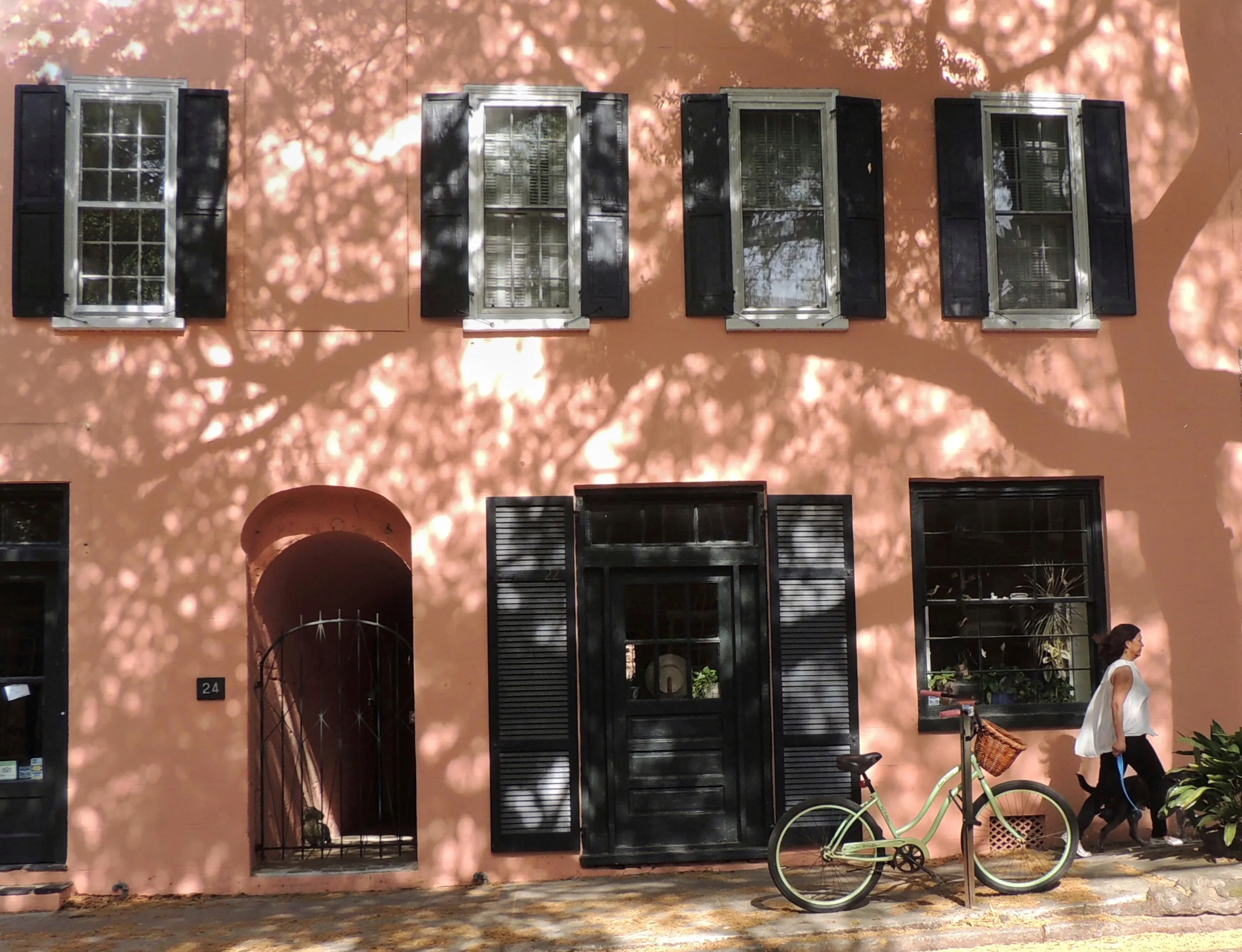 Dappled Light