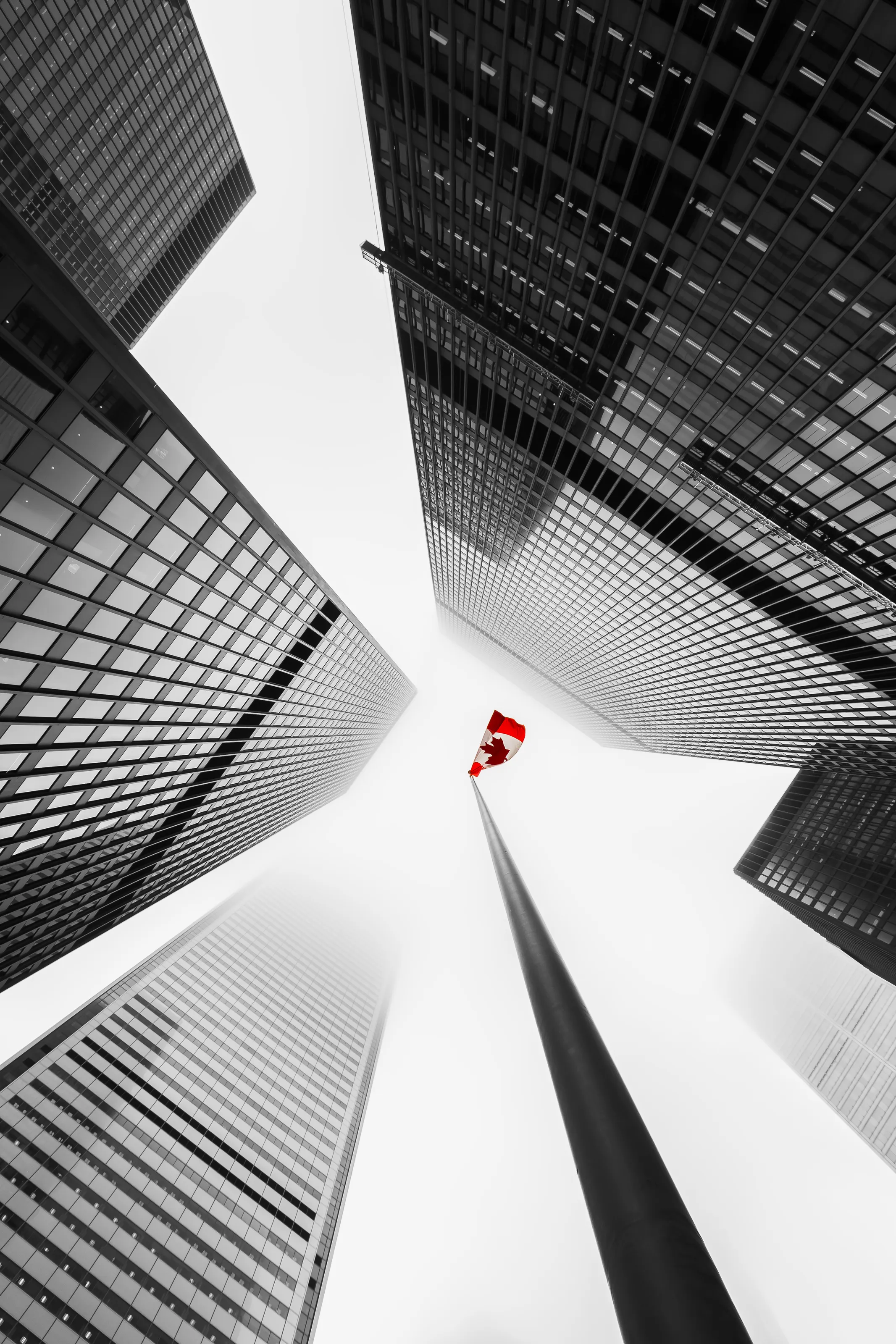 Looking Up at Tall Buildings