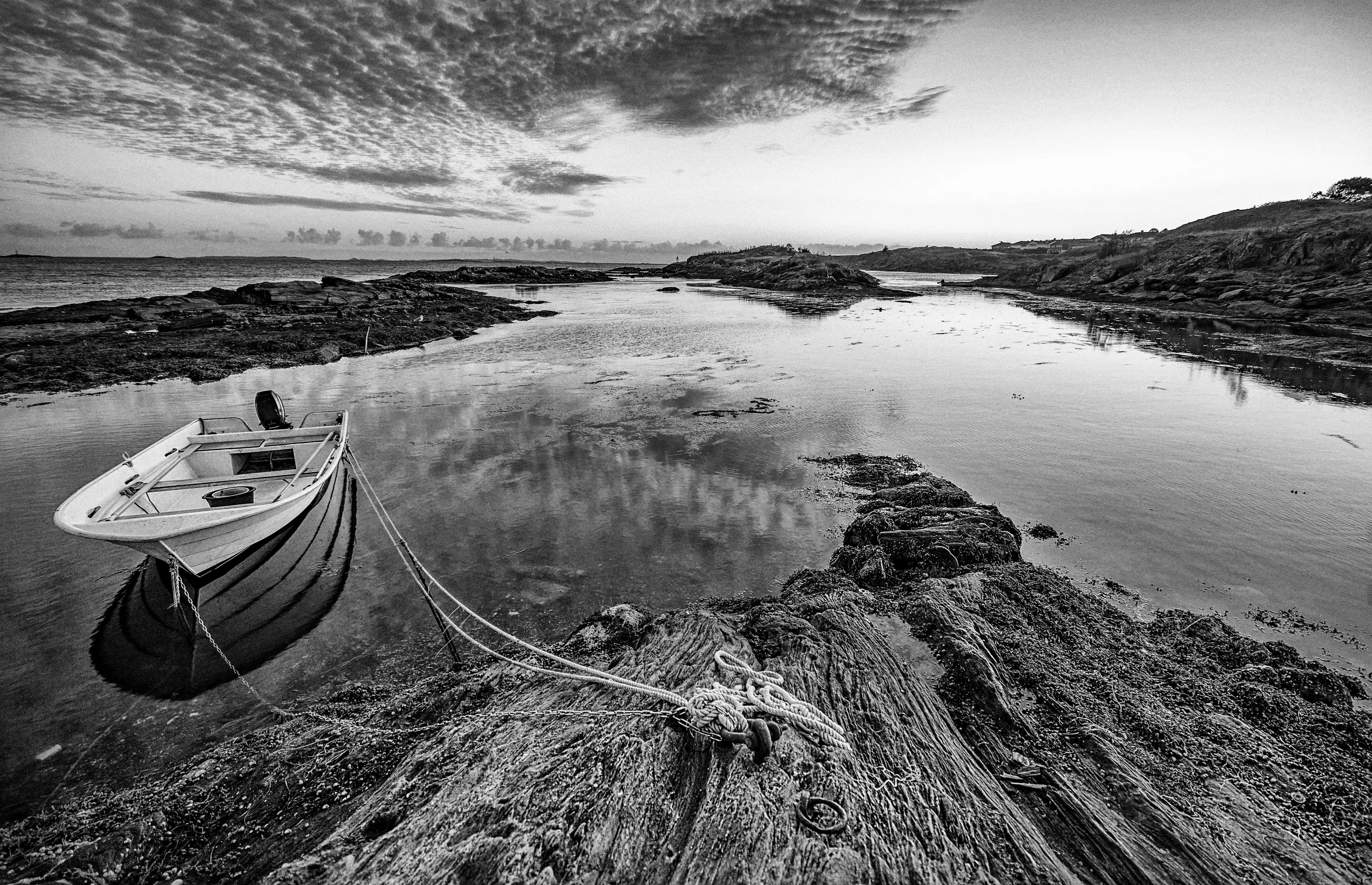 Black and White Compositions