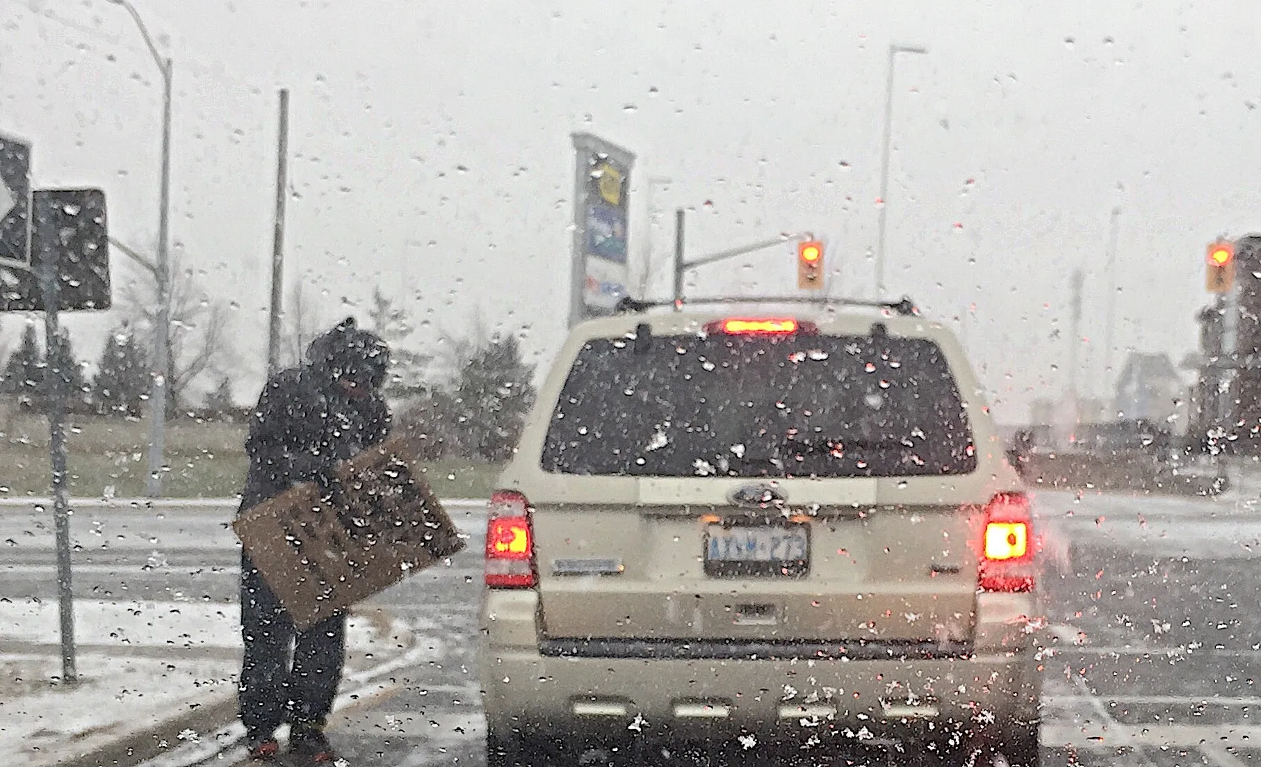 Struggles of Winter