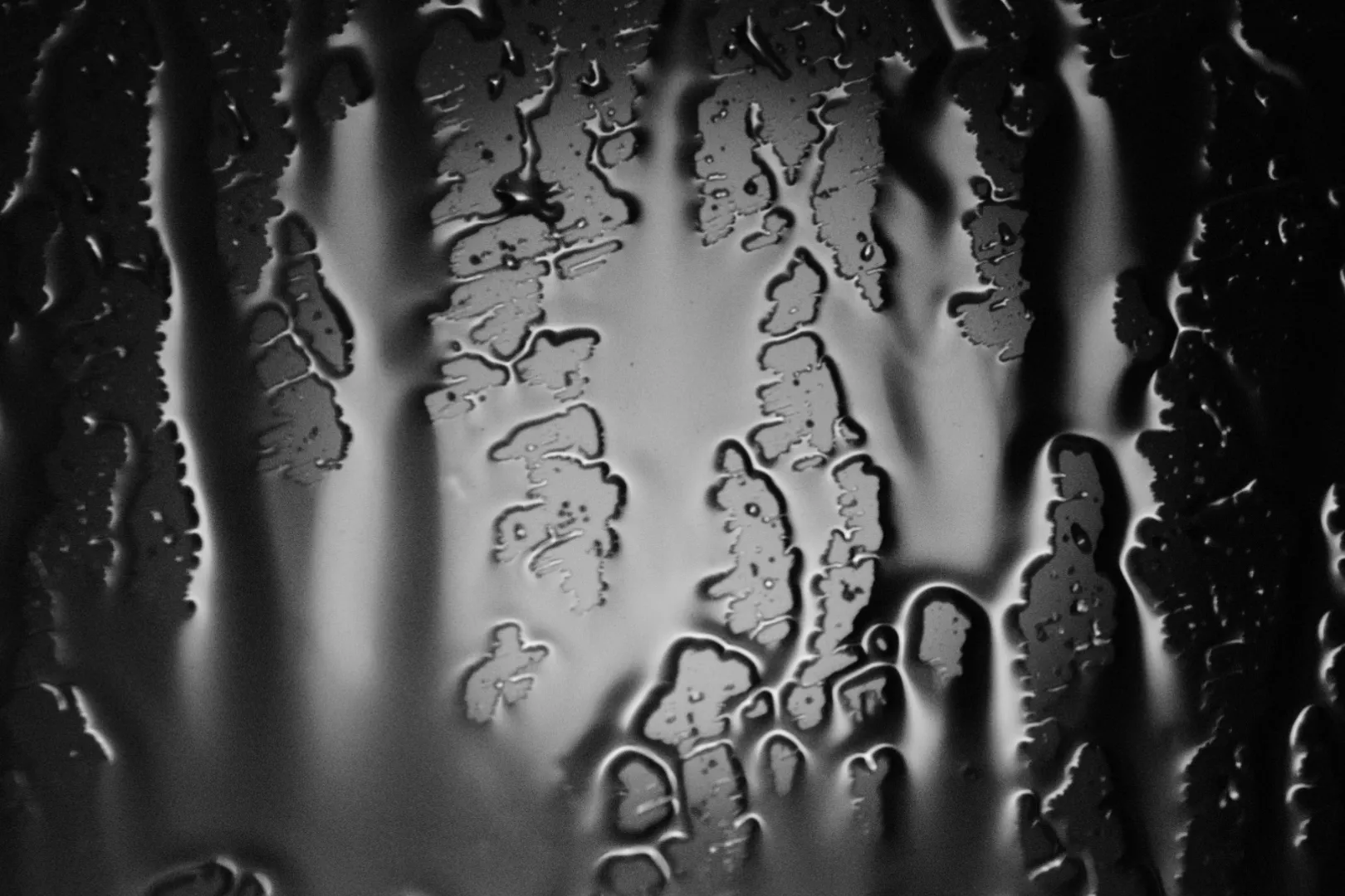 Macro in Black and White