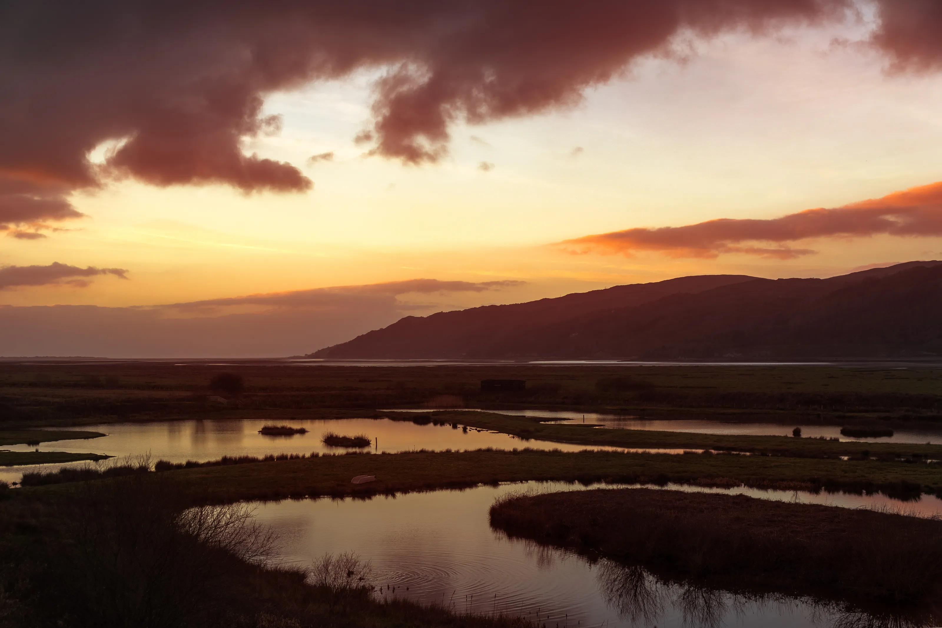 Wetland Landscapes