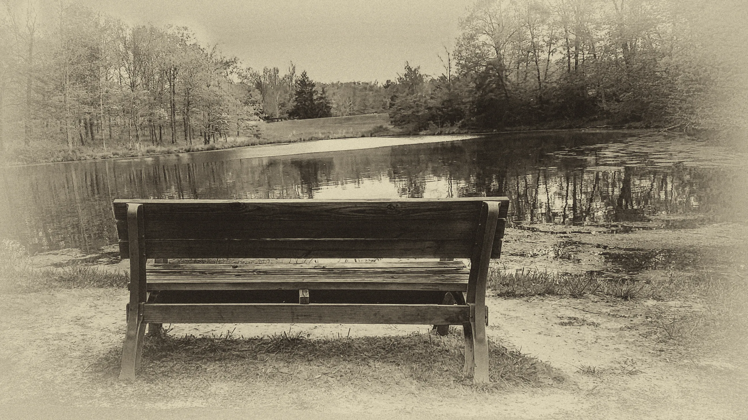 Park Benches