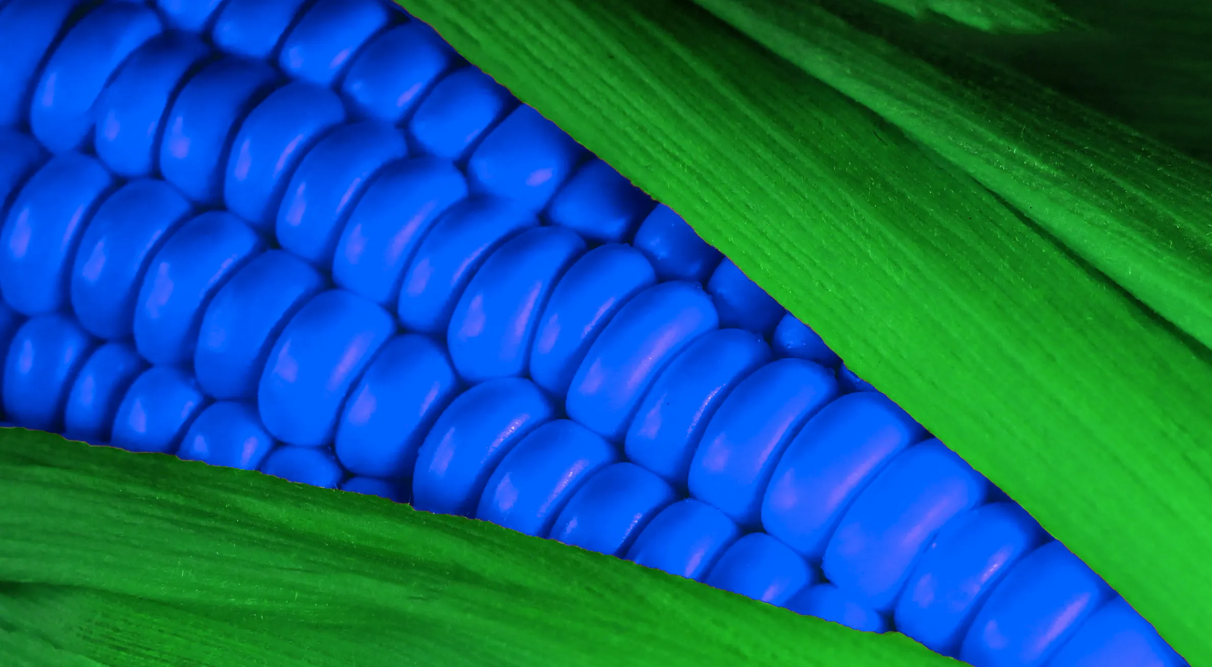 Colour Confusion