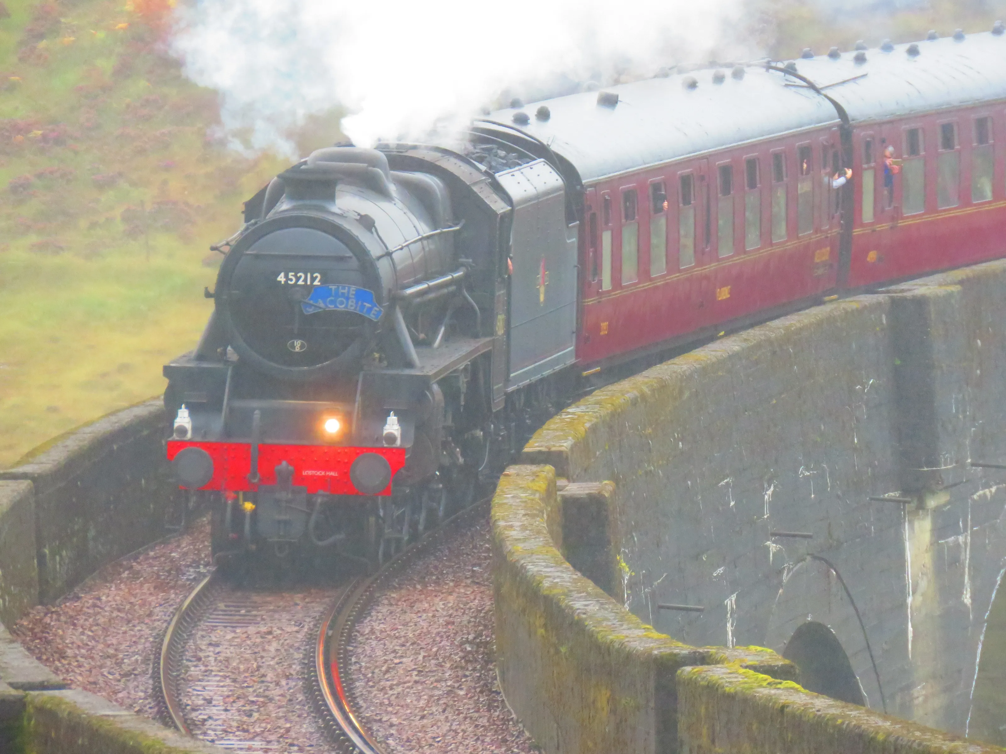 Steam Trains in Motion