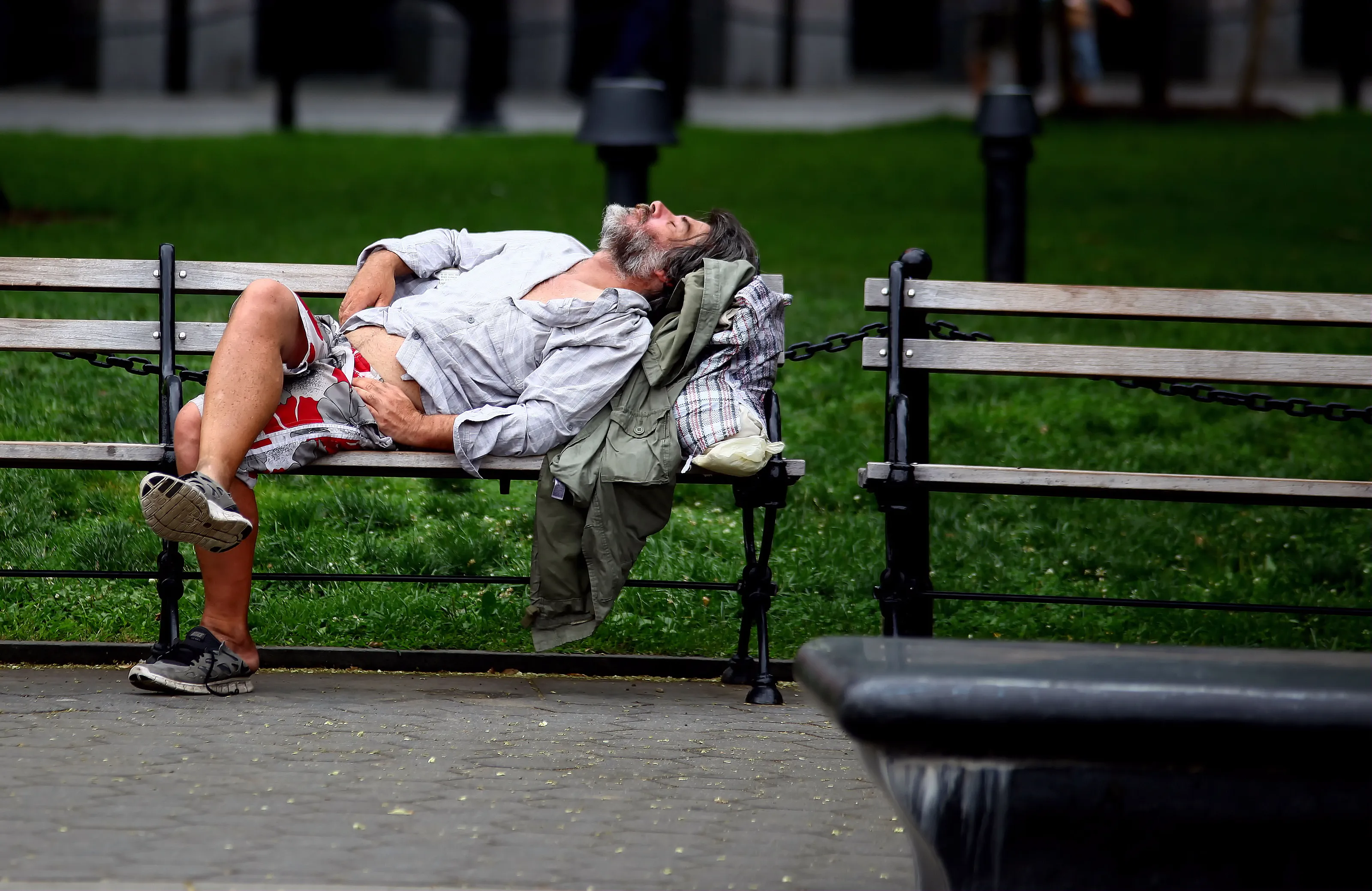 Park Bench Life and Times