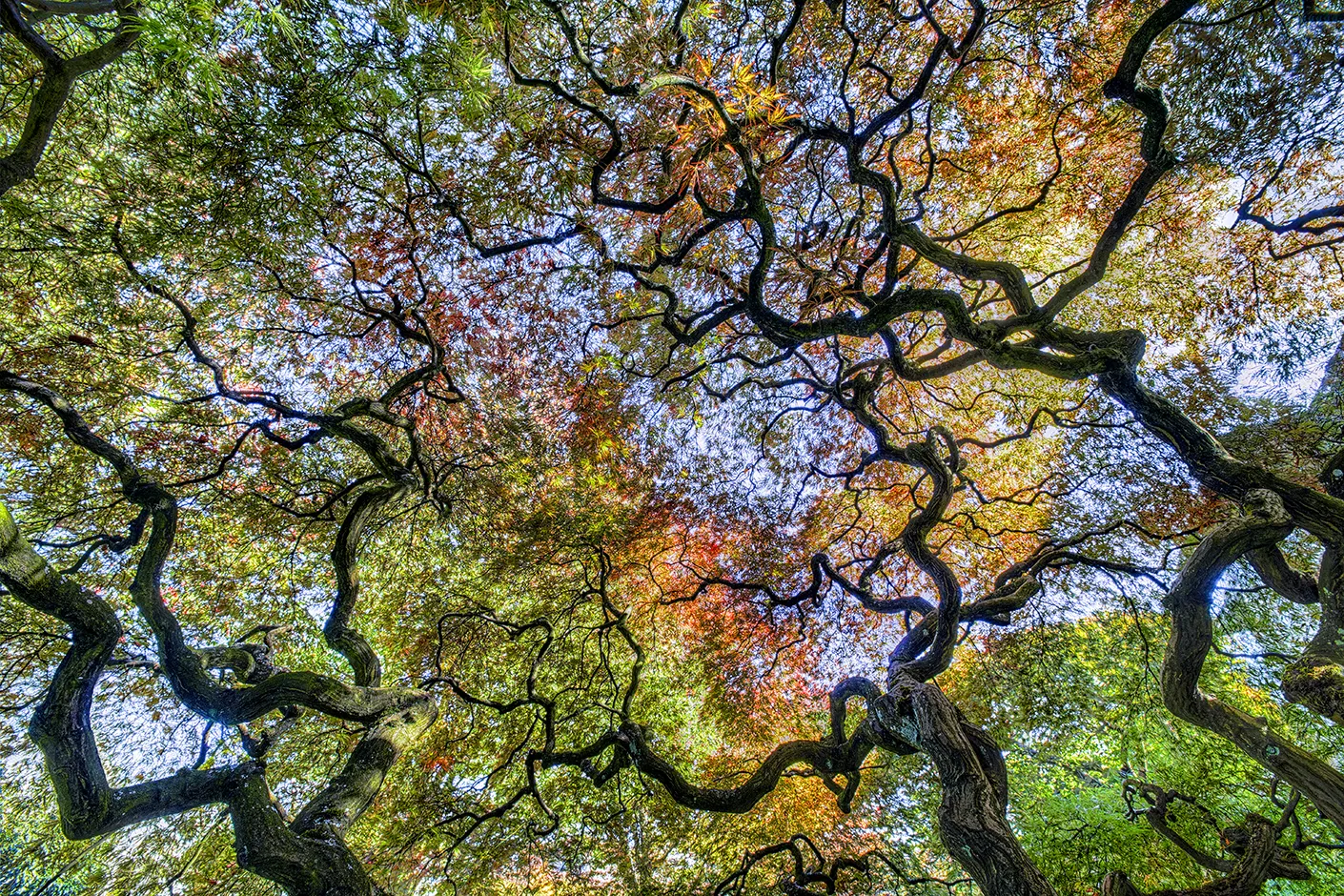 Abstract photography