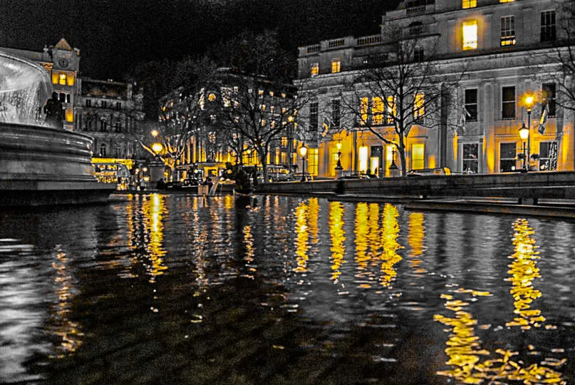Selective Colour - Yellow (No Insects)