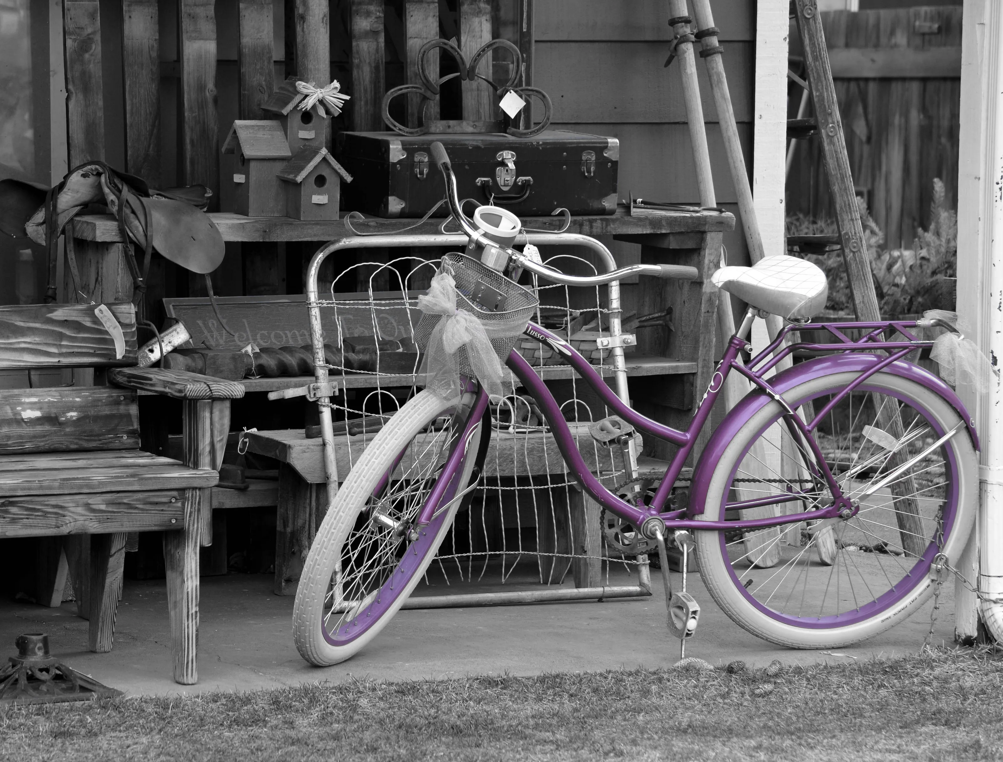 Selective Colour (no people or animals)