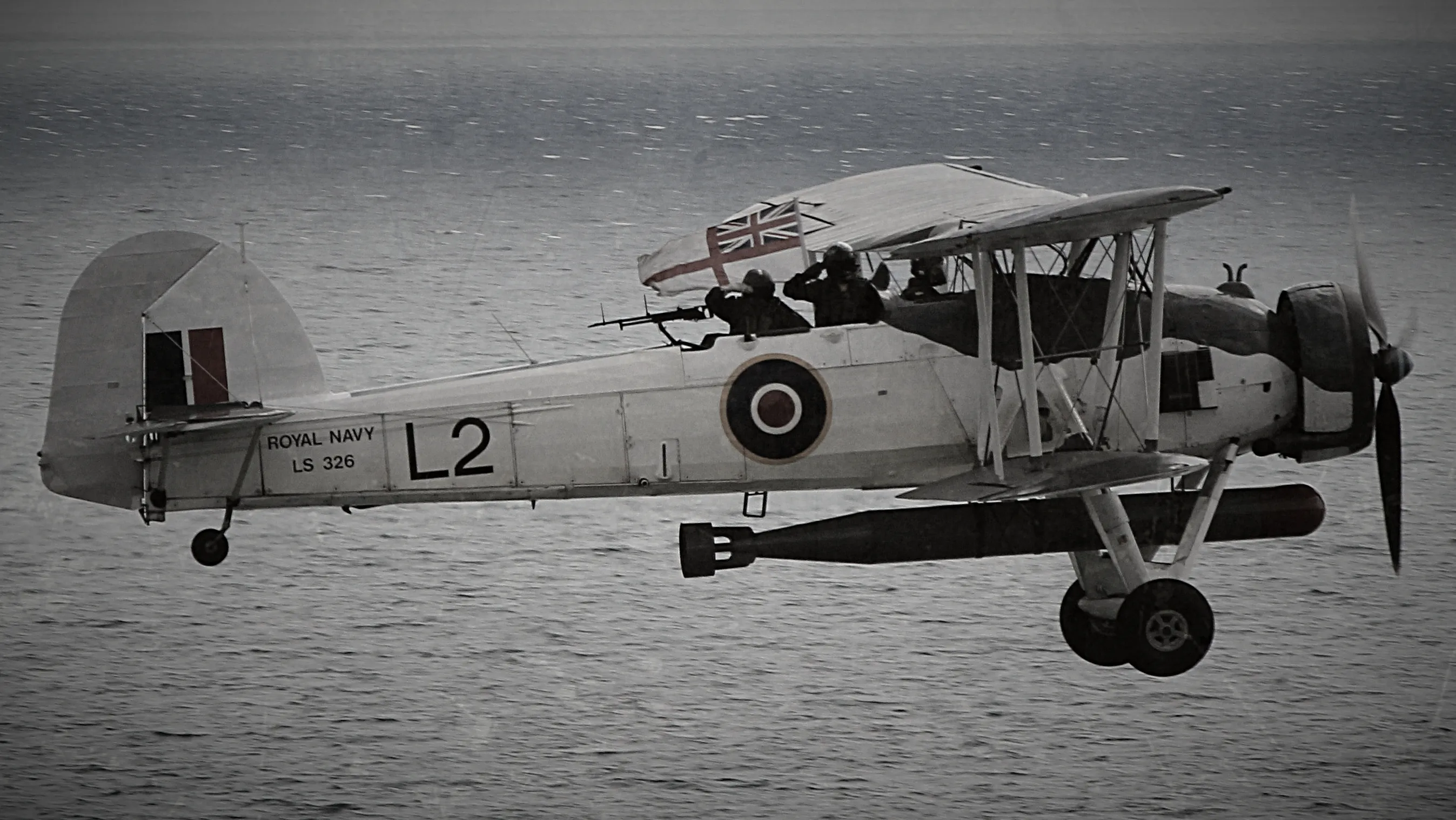 Vintage Aircraft in Flight (Black & White)