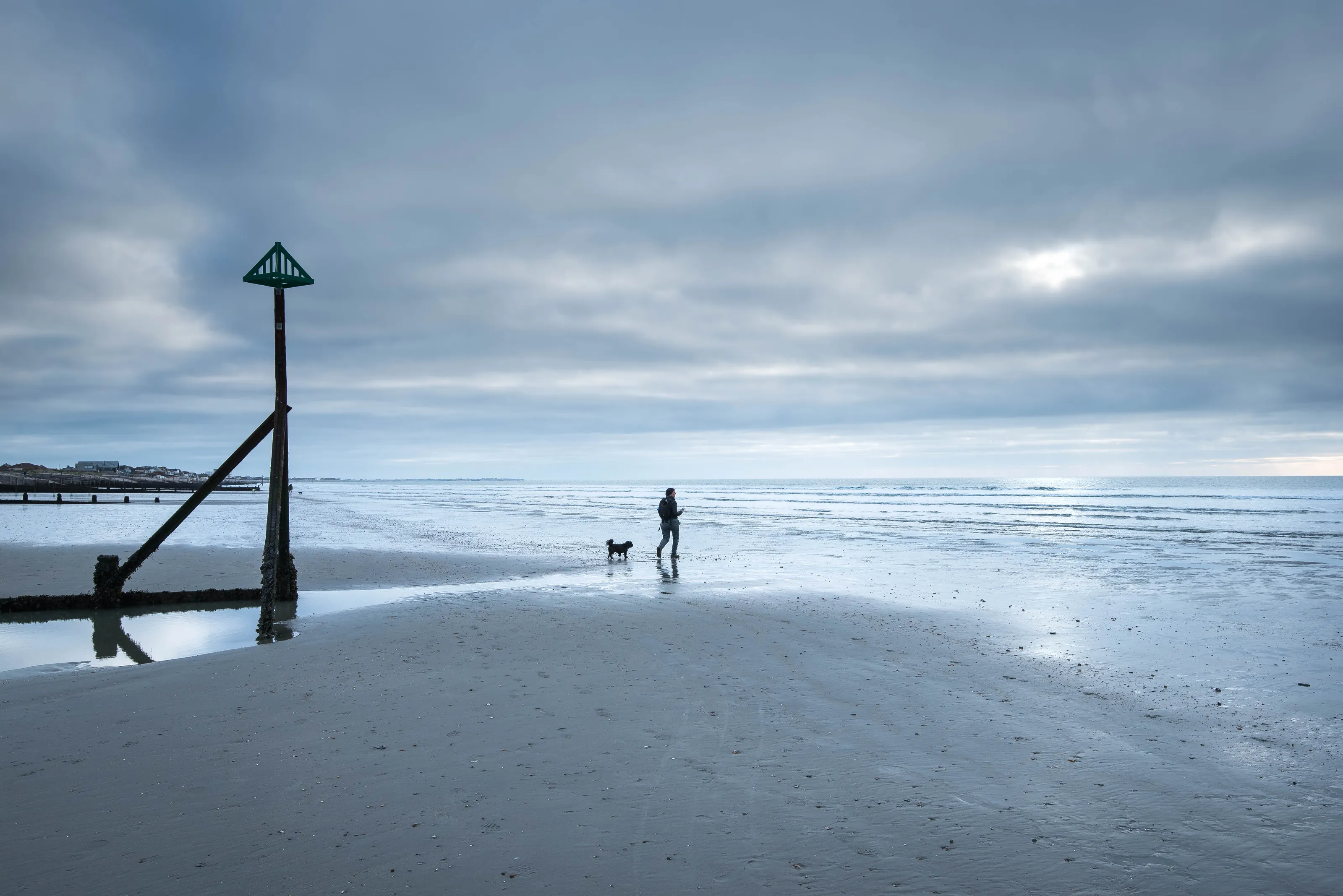 Walking the Dog