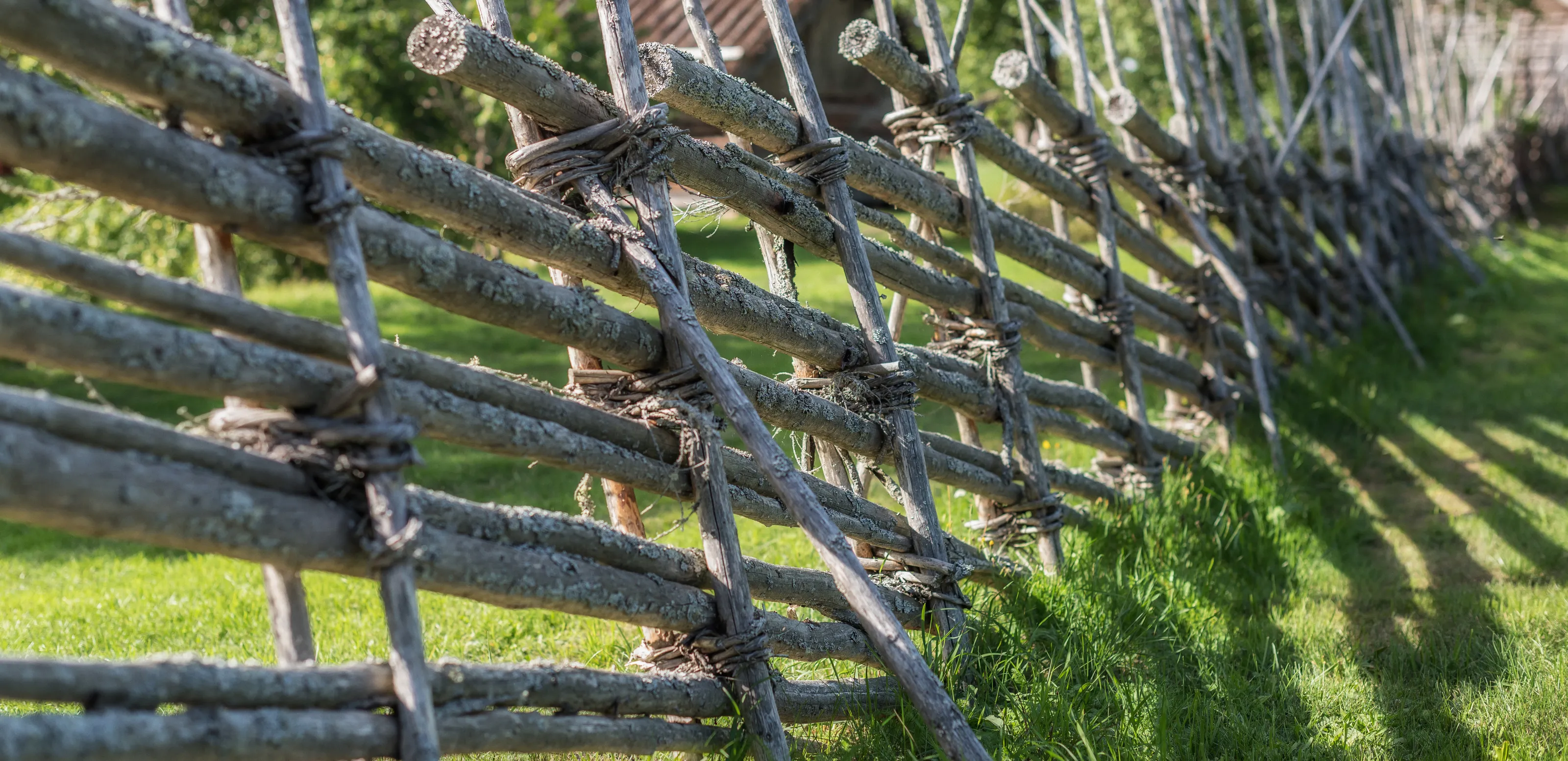 Fences