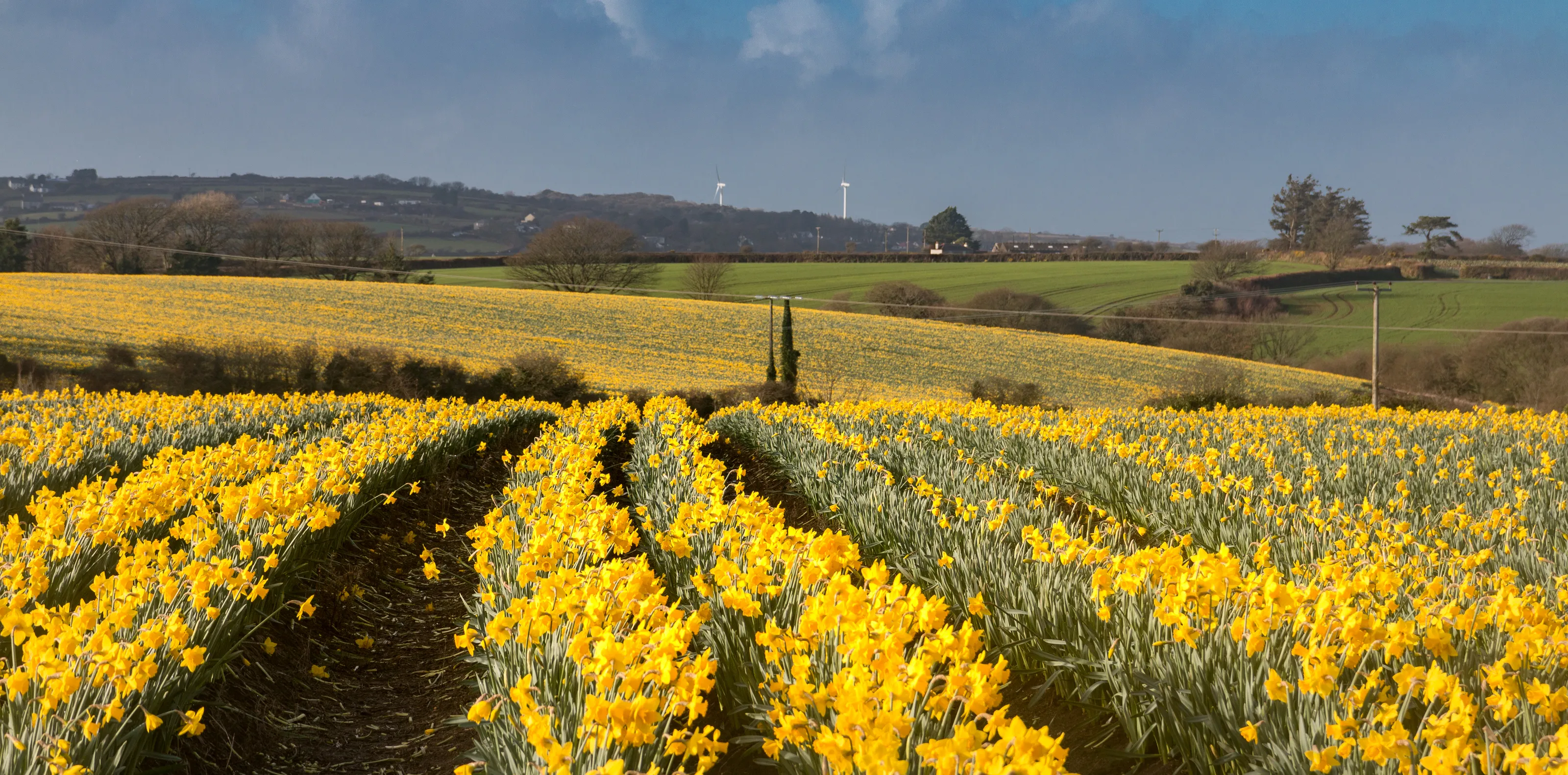 Landscapes of England