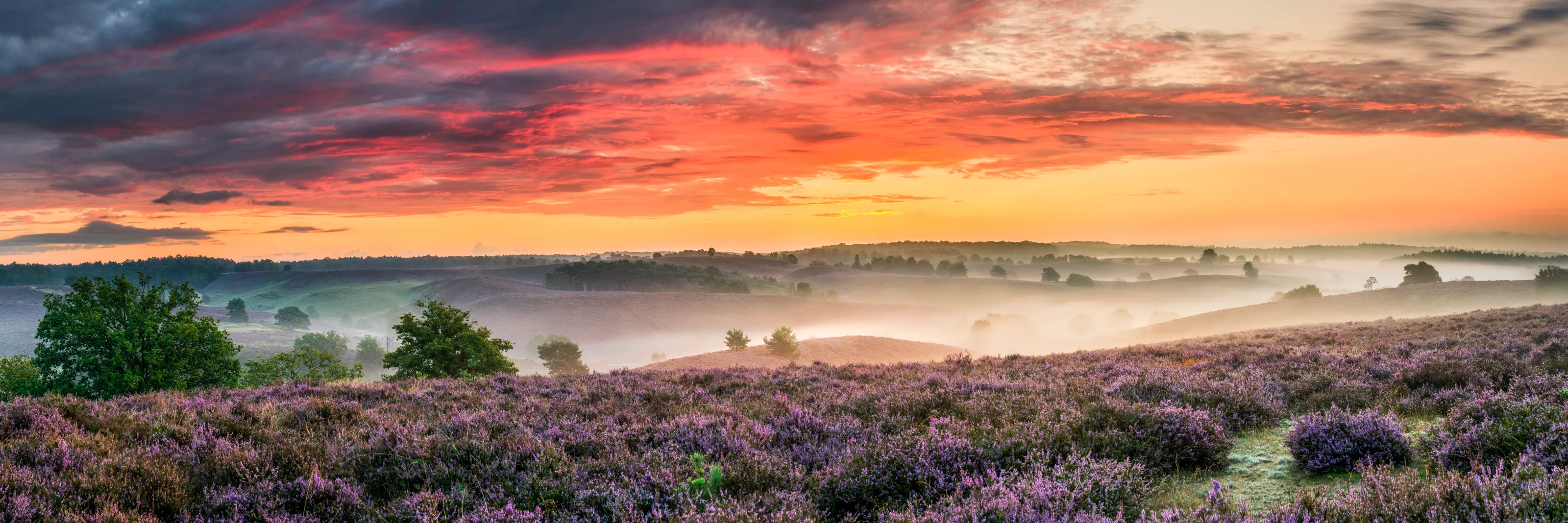 Magnificent Sunrises