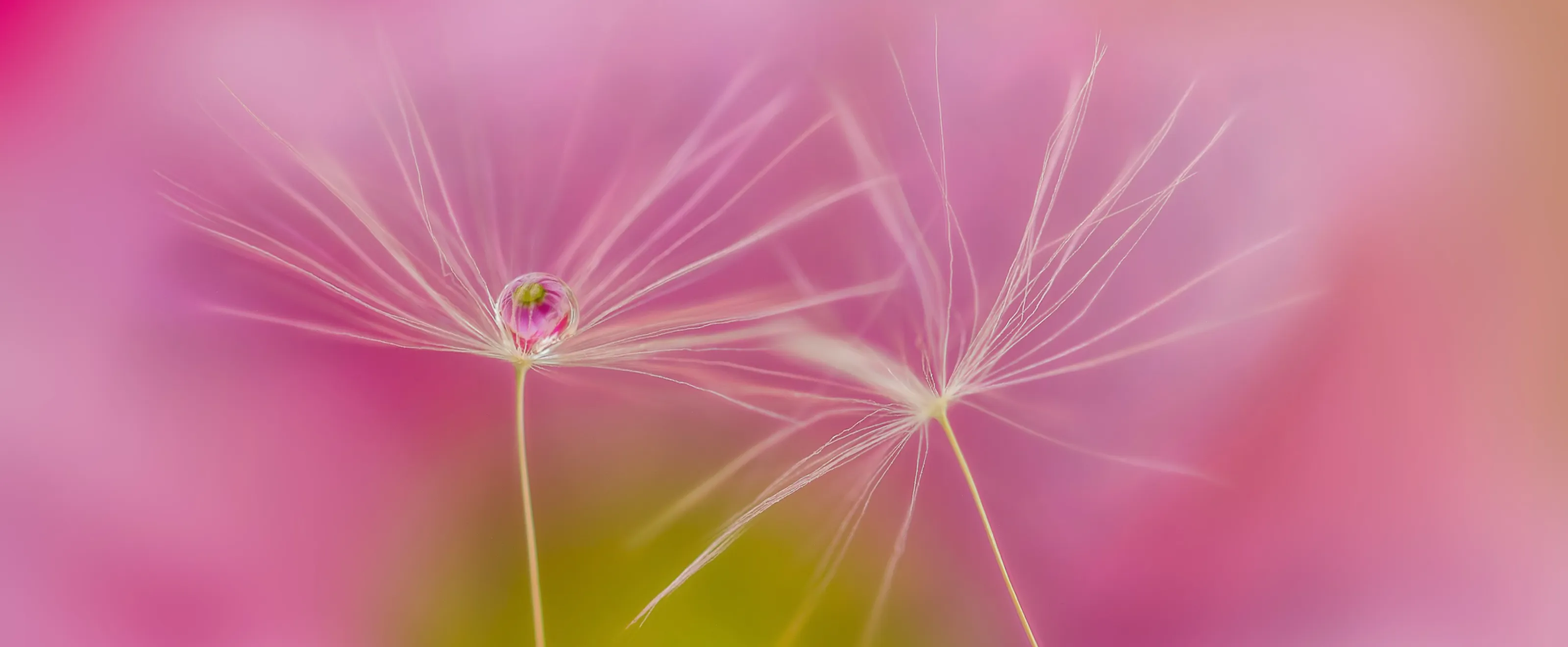 Small Worlds