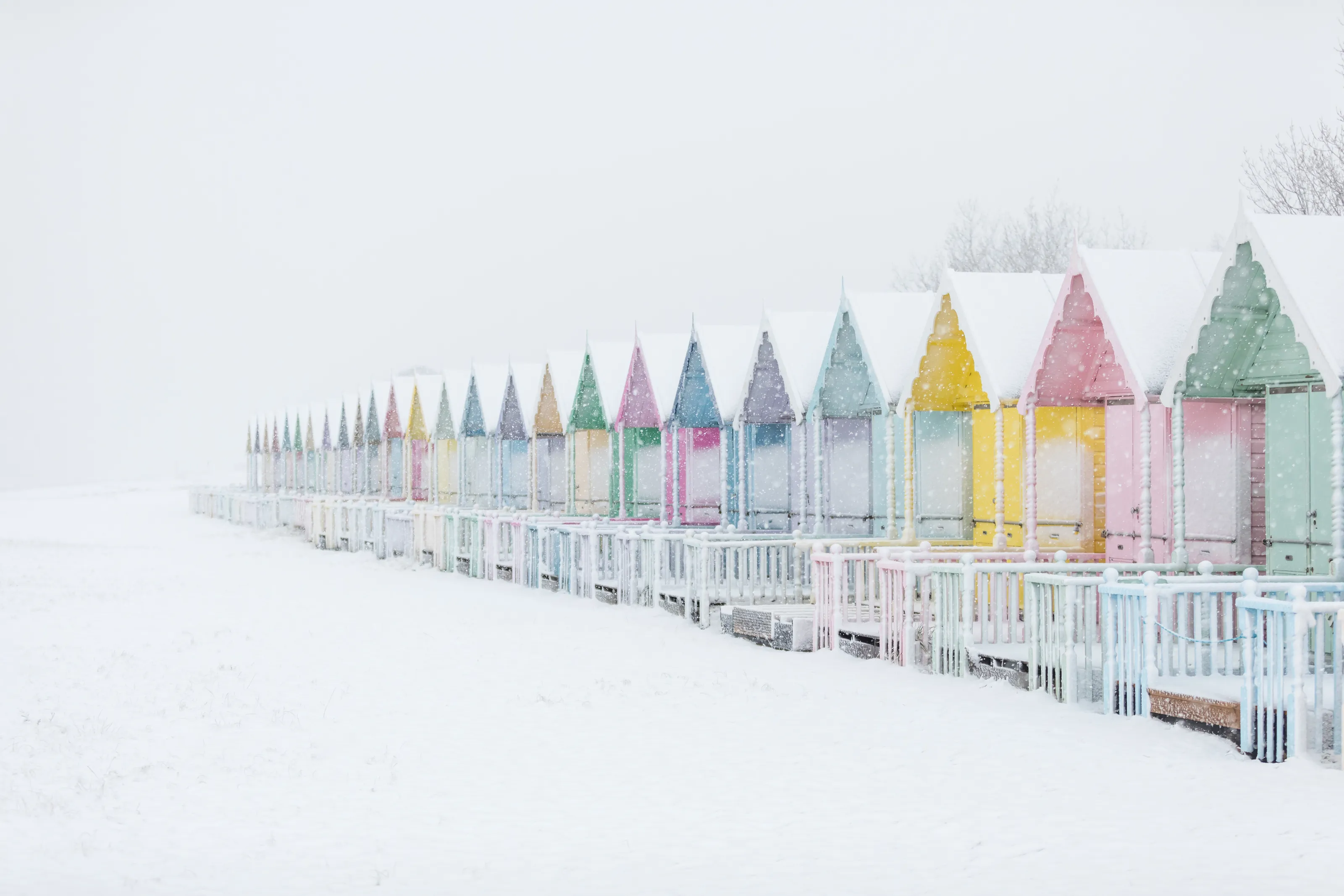 Whatever The Weather