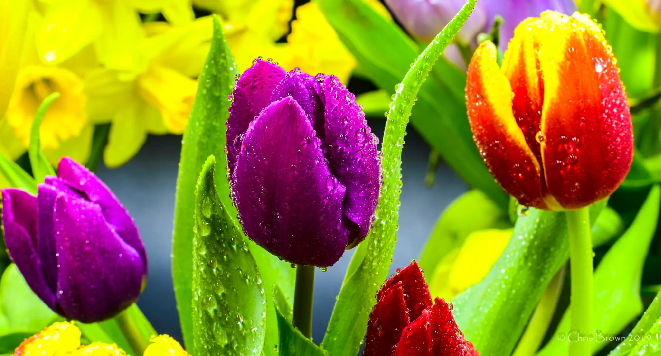 Spring
