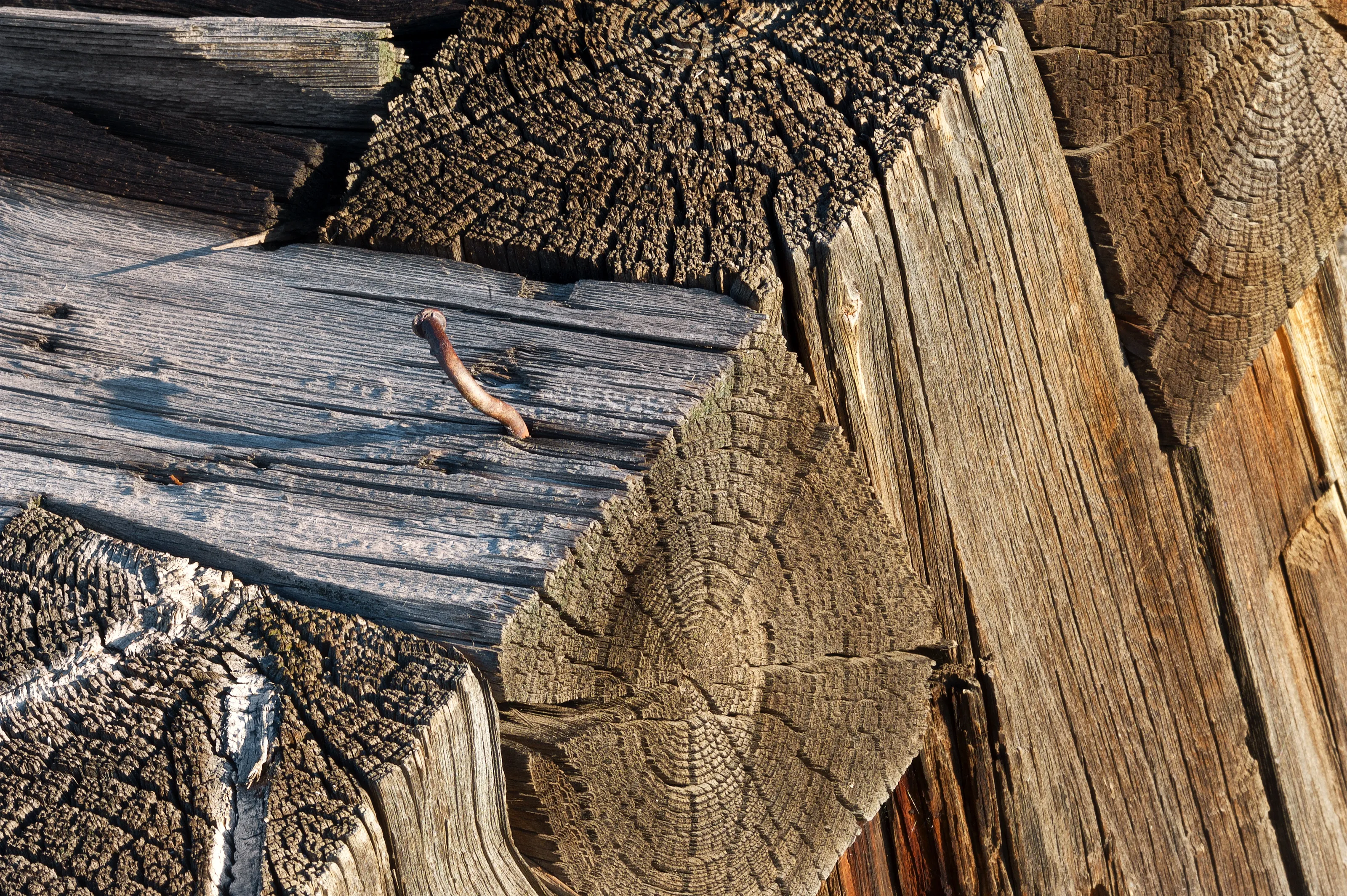 Textures of Wood