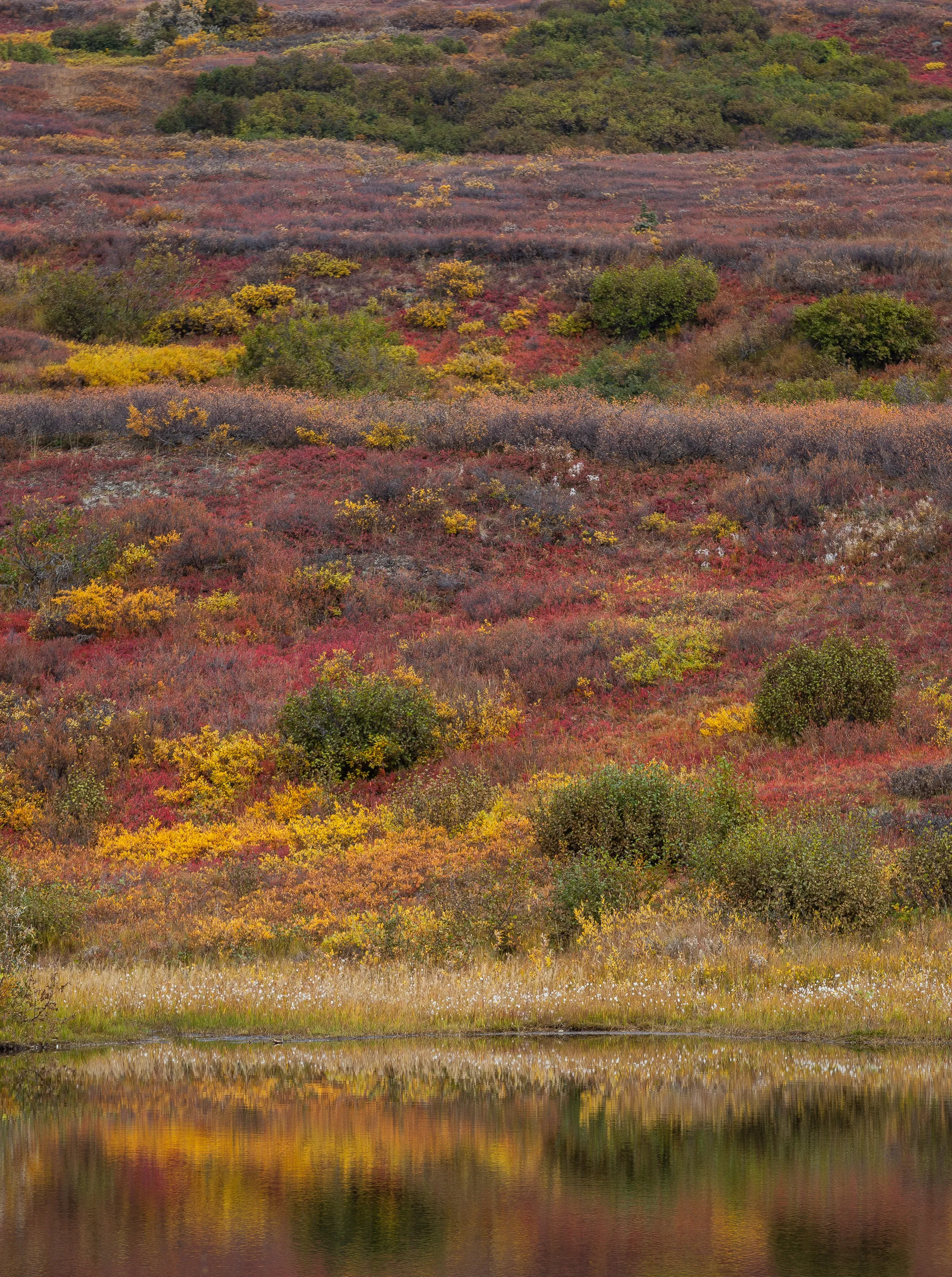 Landscapes in Vertical Orientation