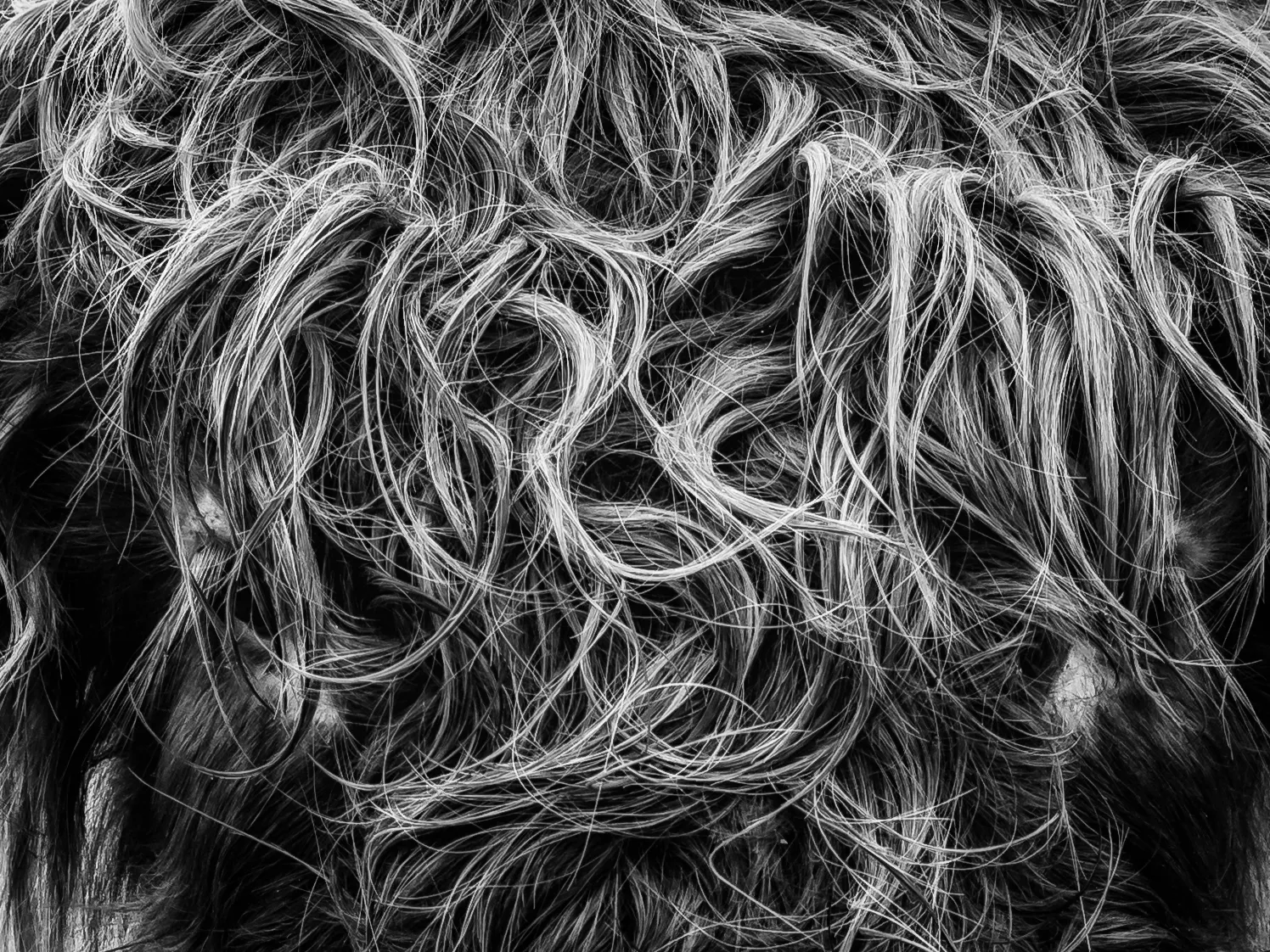Textures in Black and White