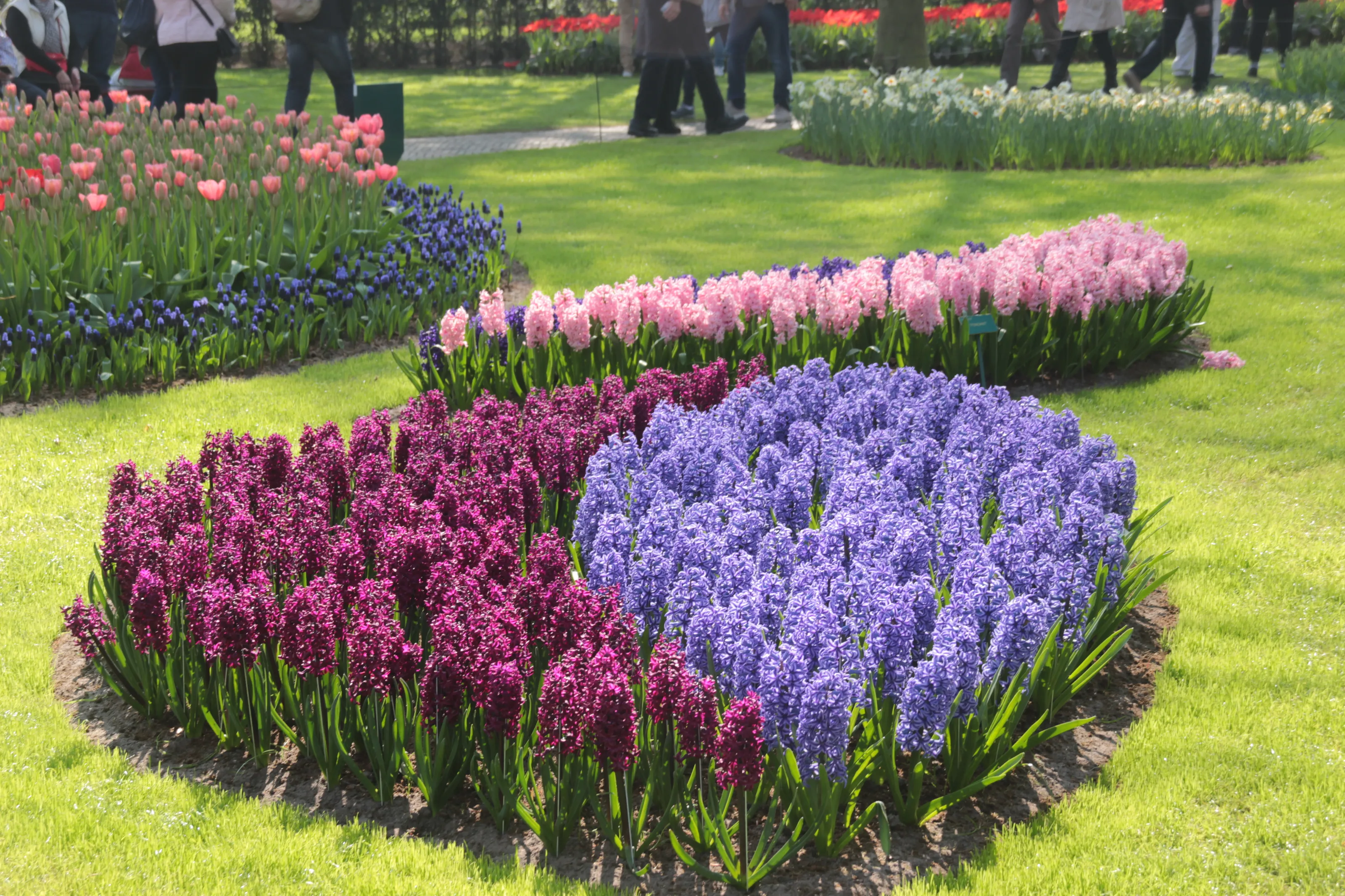 Formal Gardens in Colour