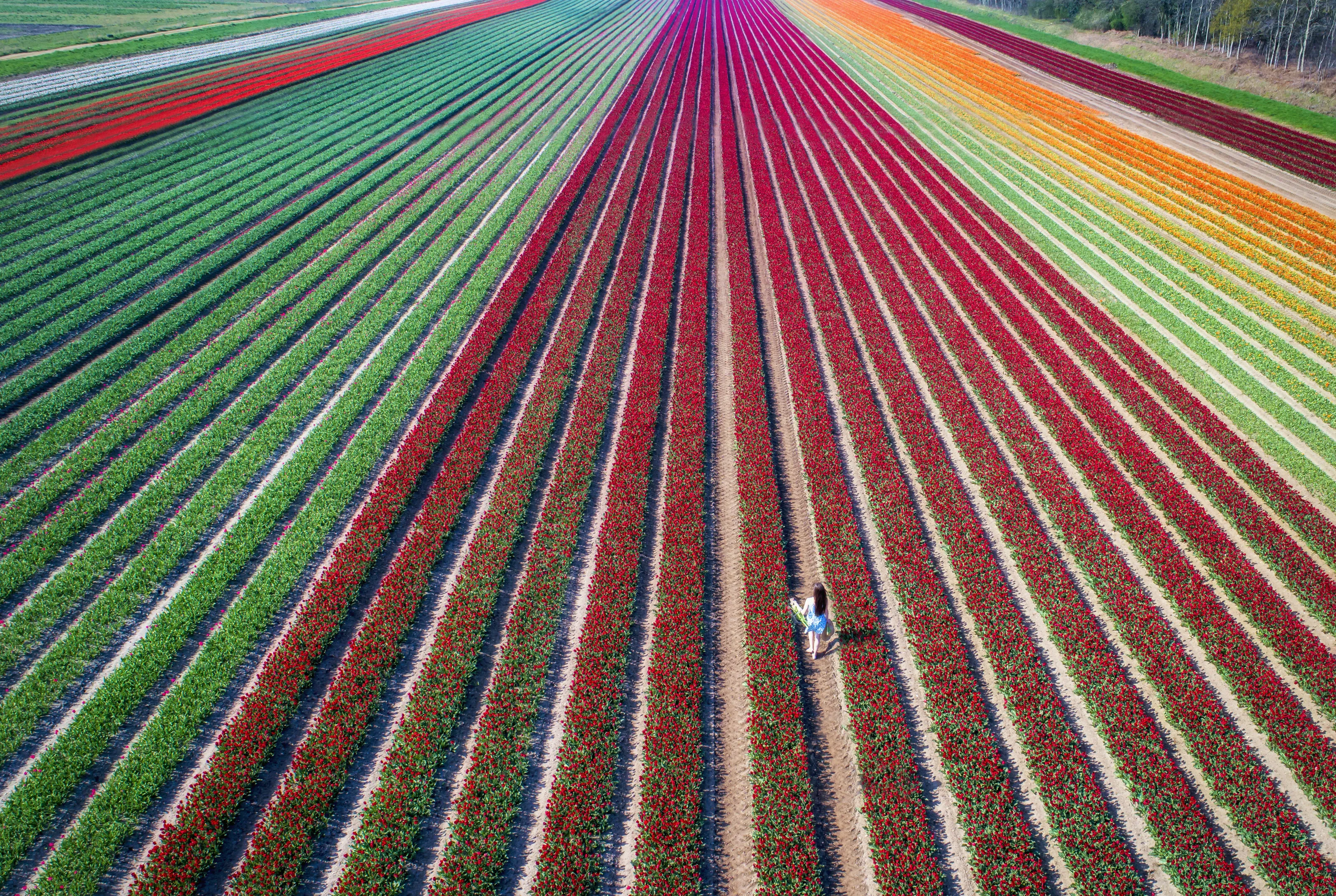 Drone photography