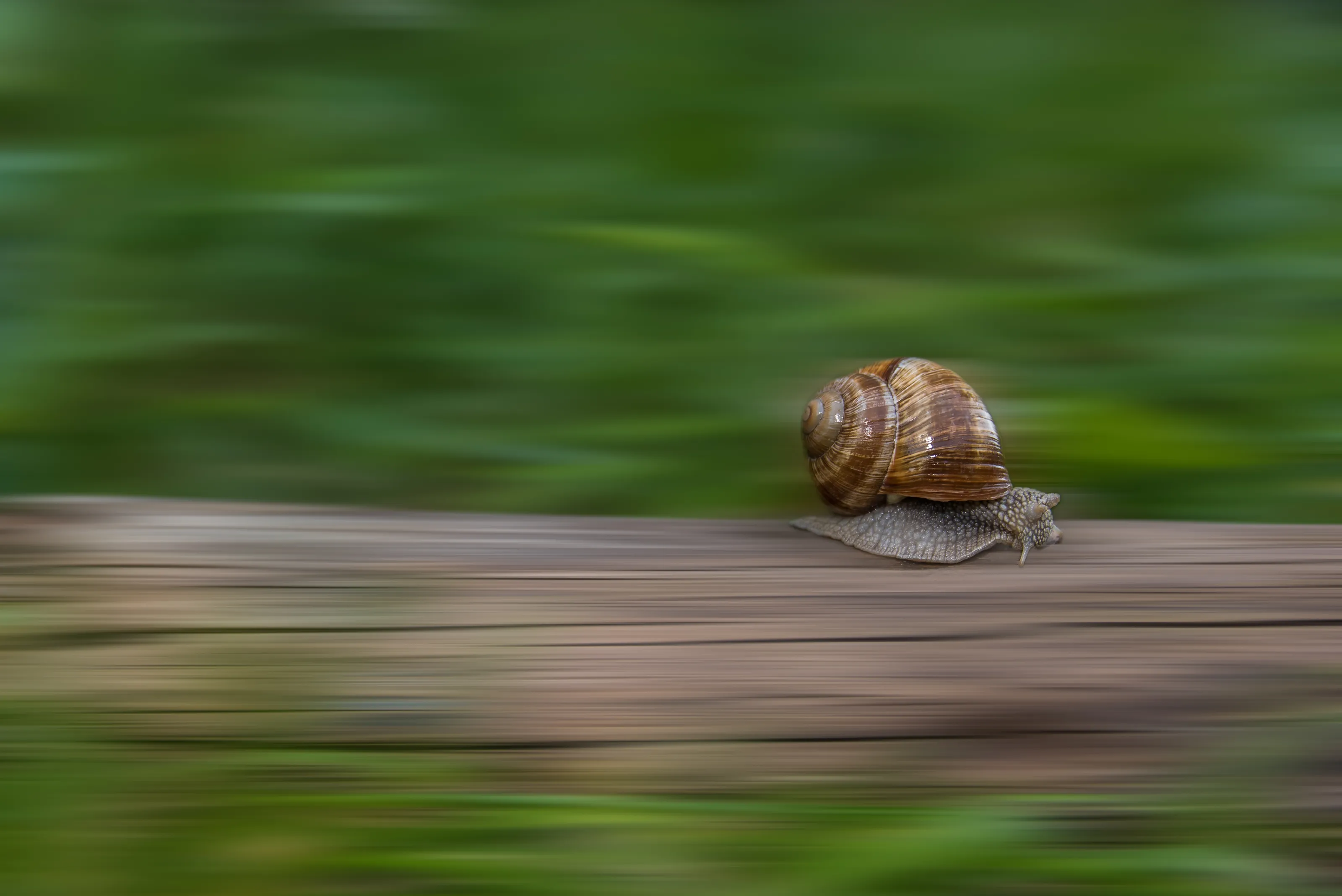 Intentional blur