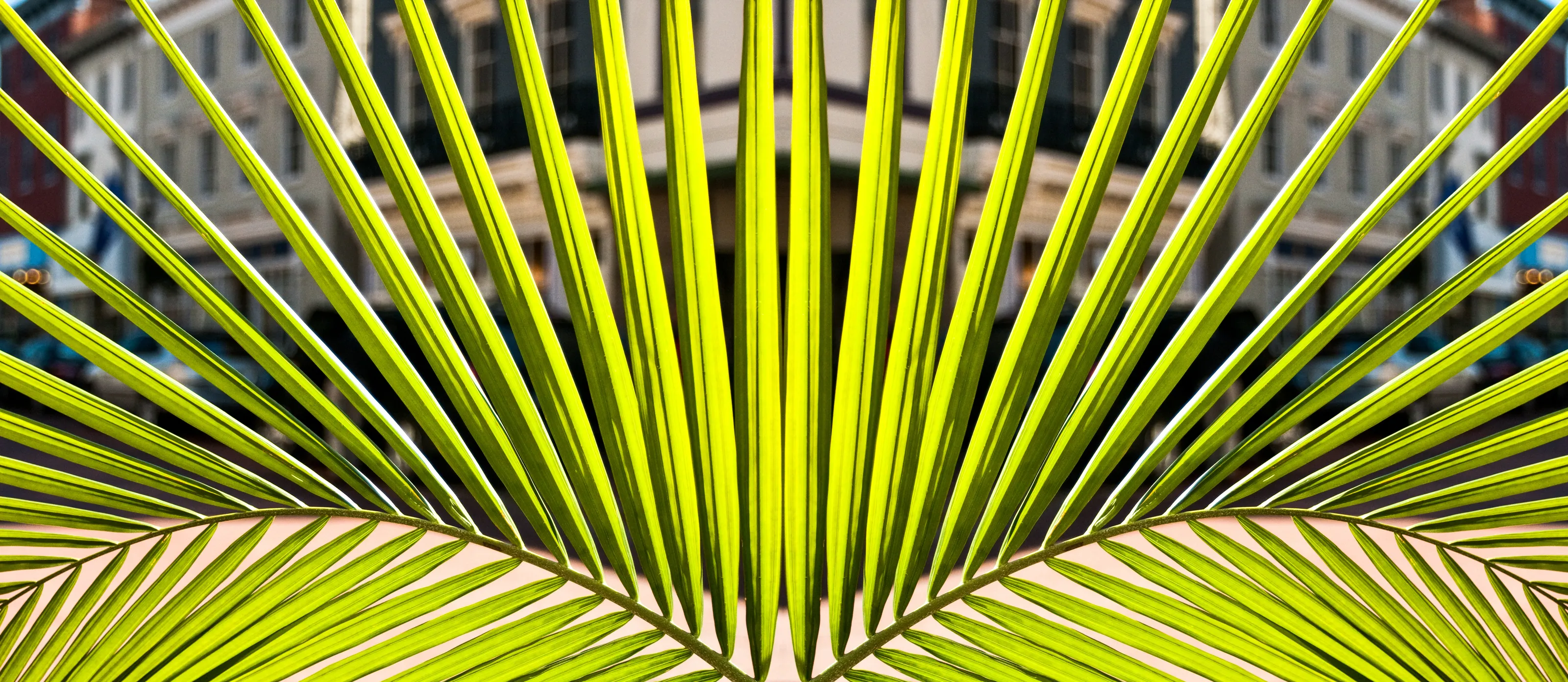Mirror a Single Image
