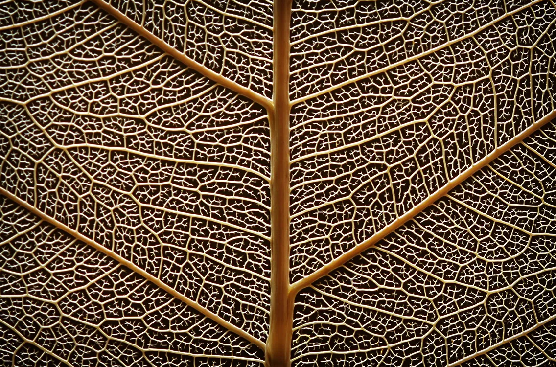 Patterns in macro
