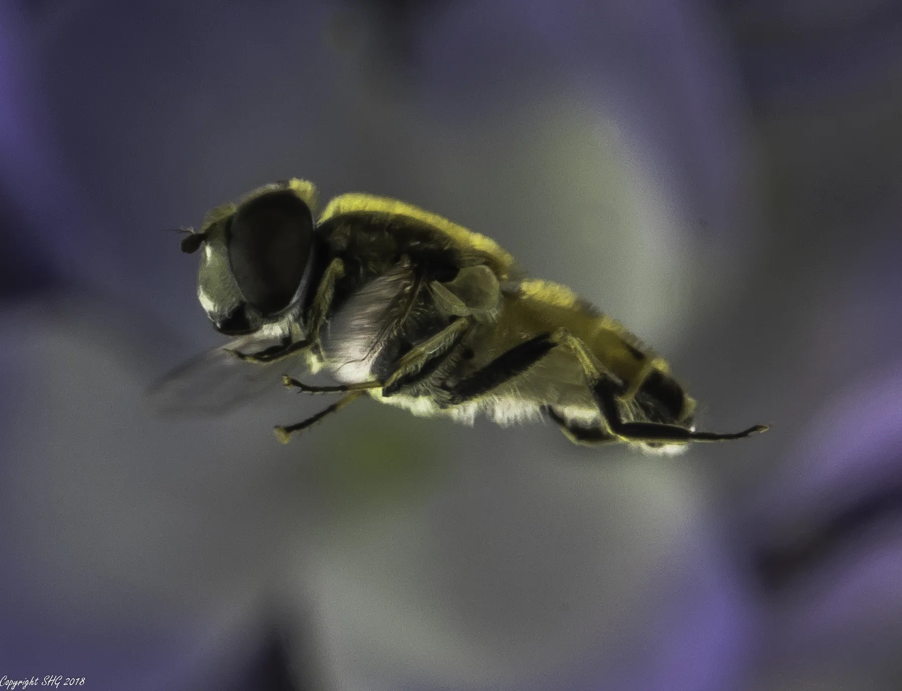 High Speed Photography