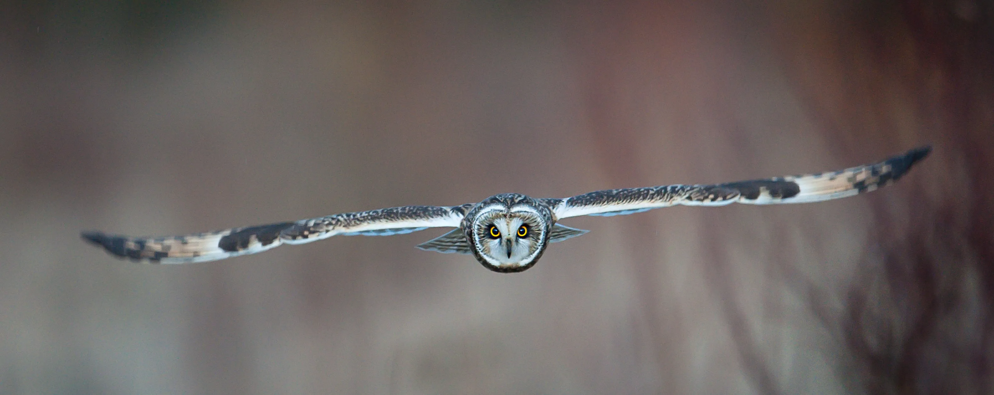 Airborne!