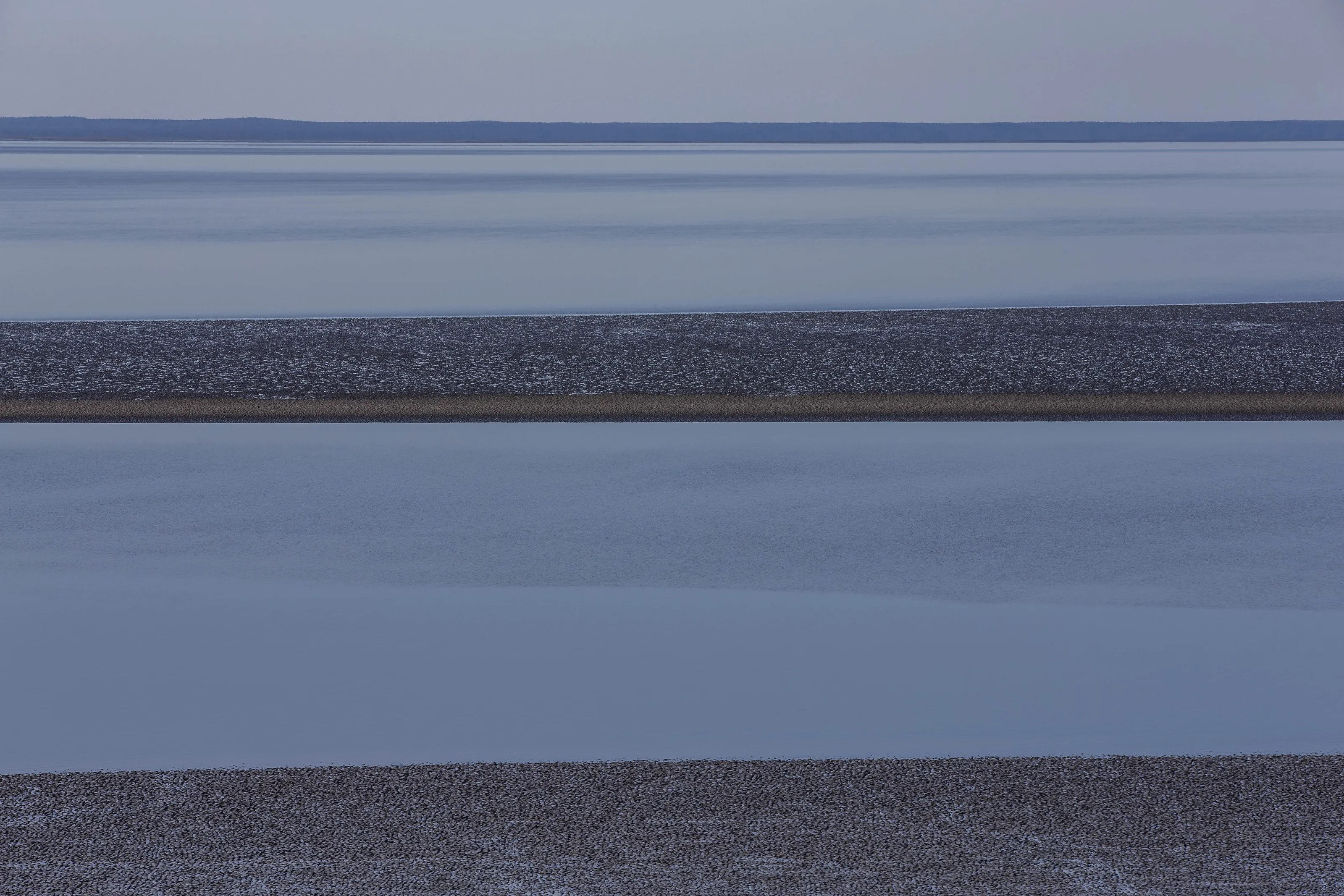 Minimalism in the Natural World