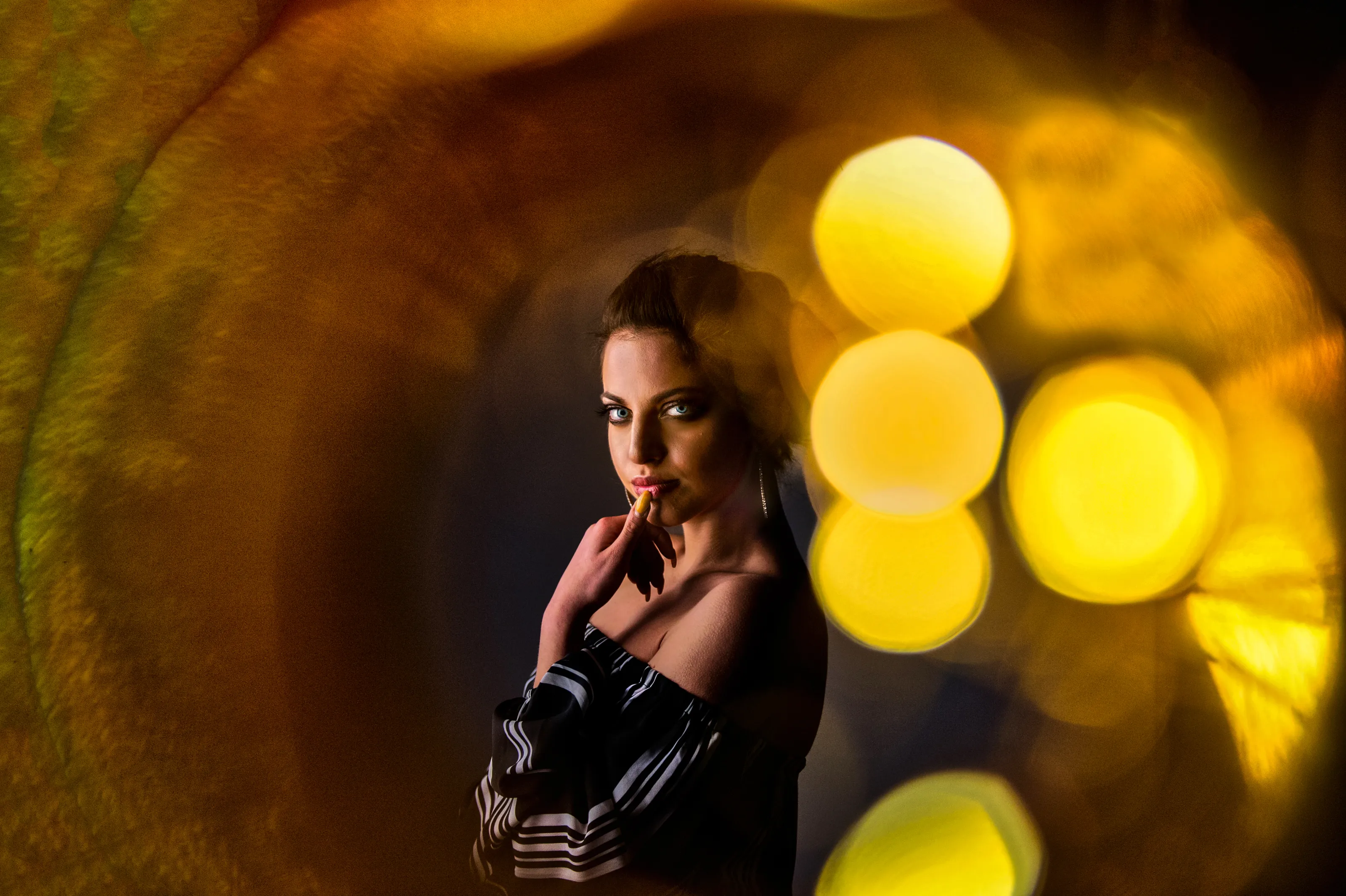 Flash/Studio lights