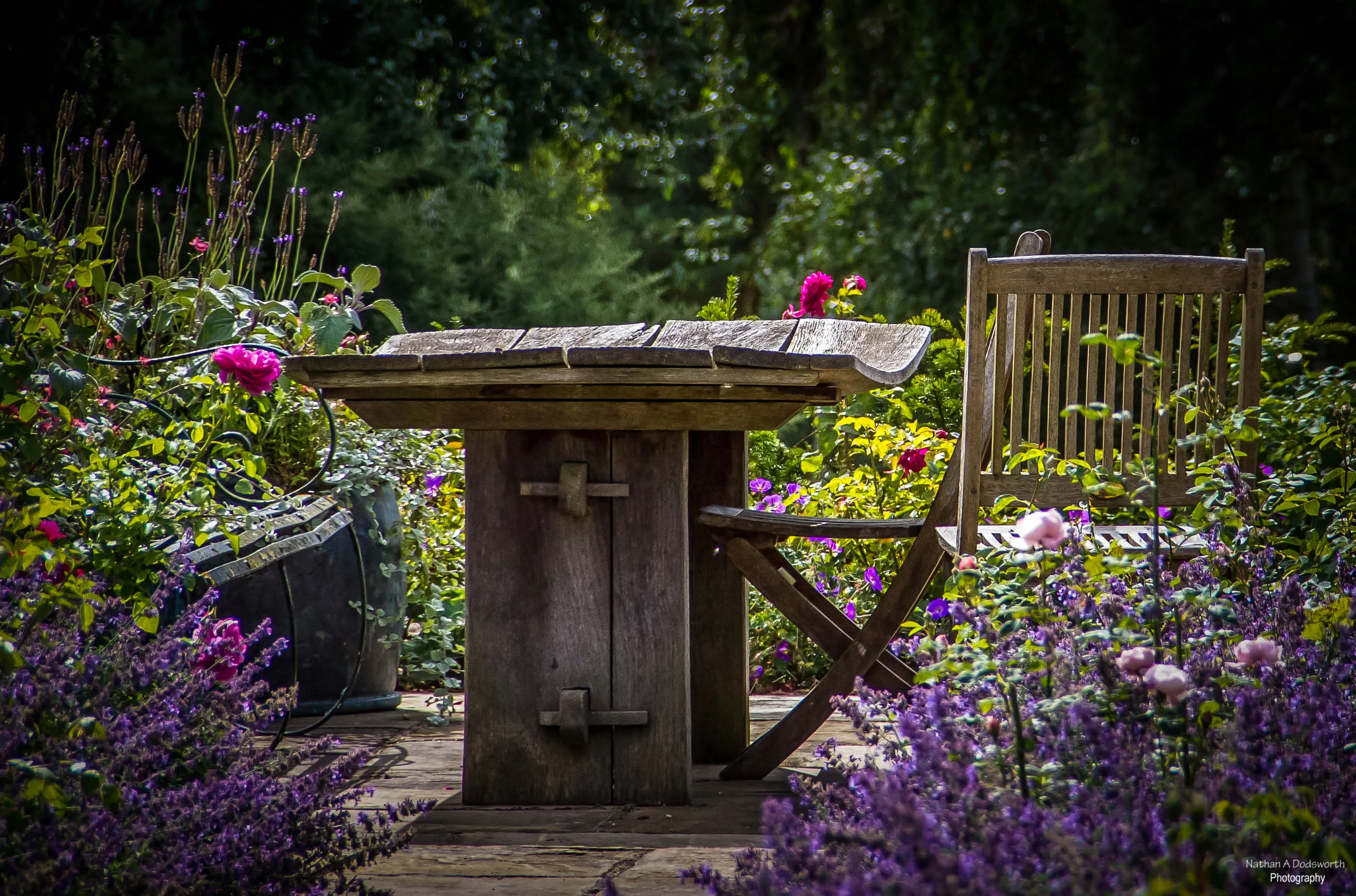 In the Garden