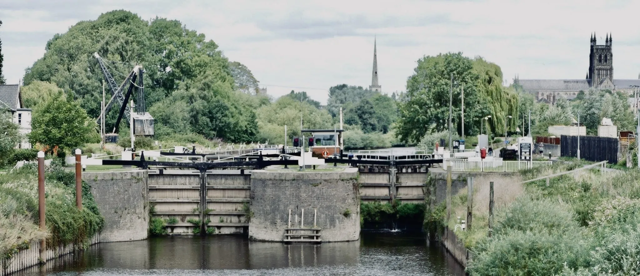 Along the Riverbank