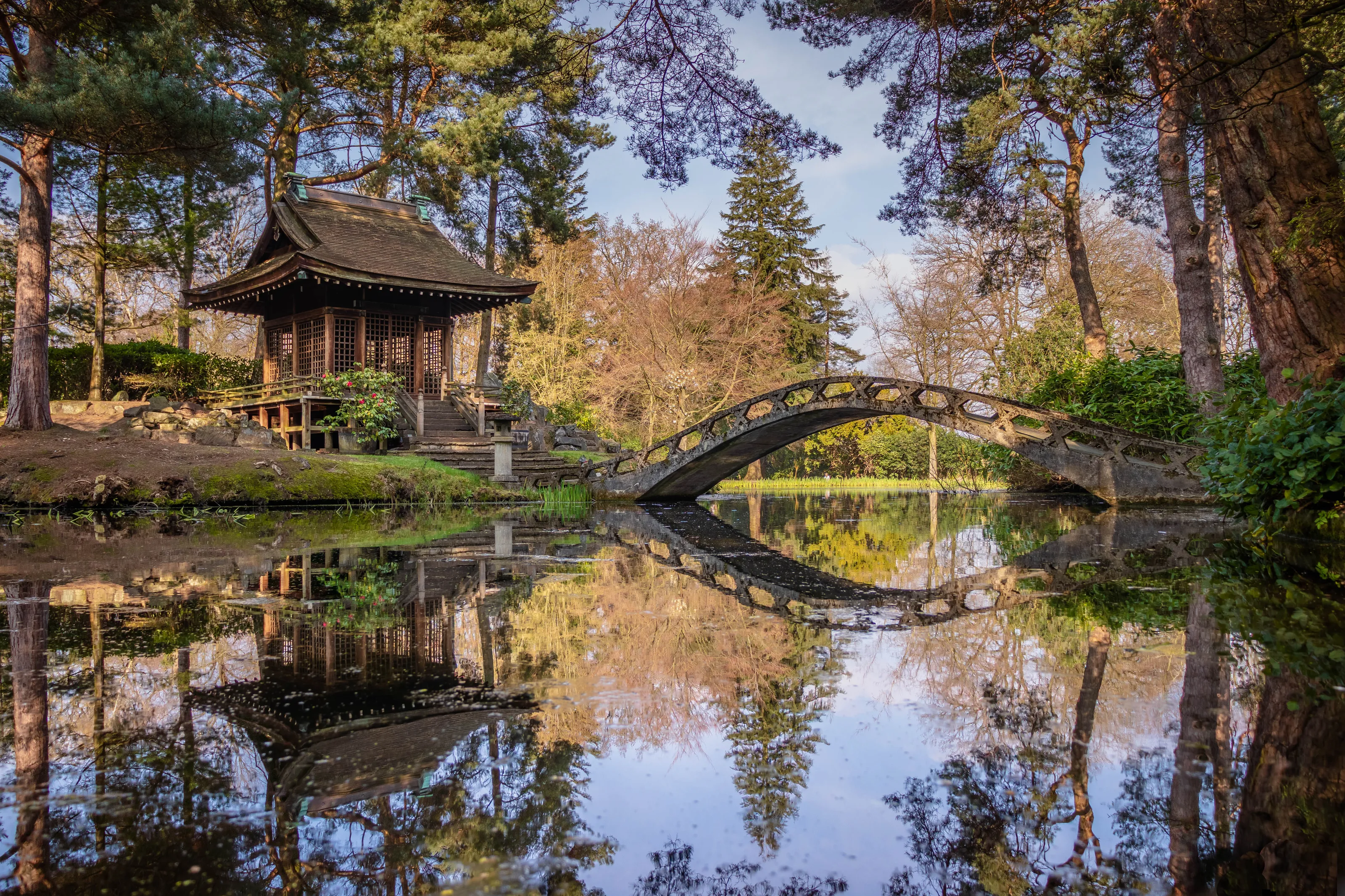Reflections in Water