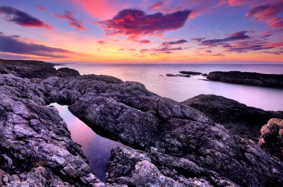Magenta Sunsets