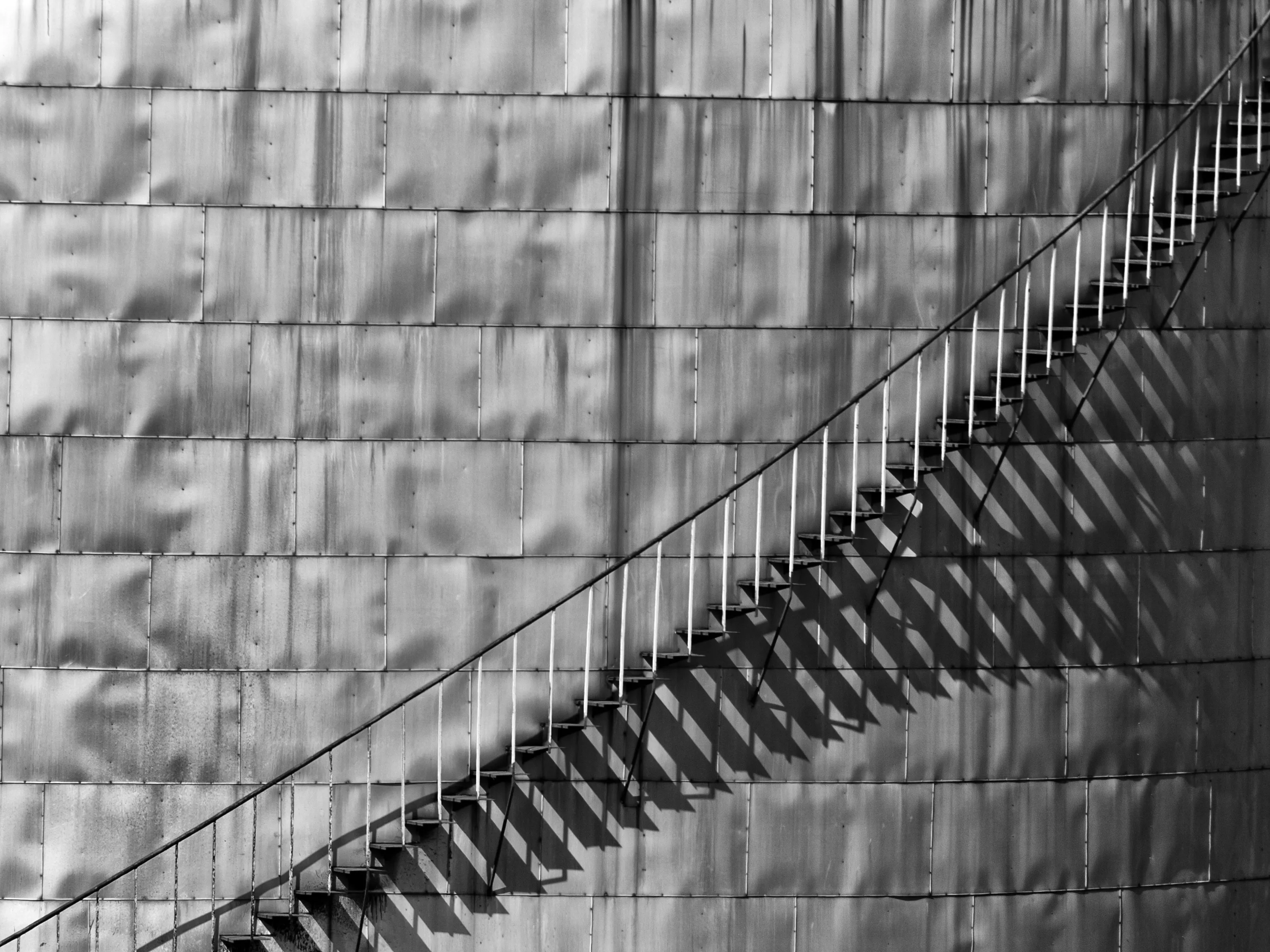 Shadows