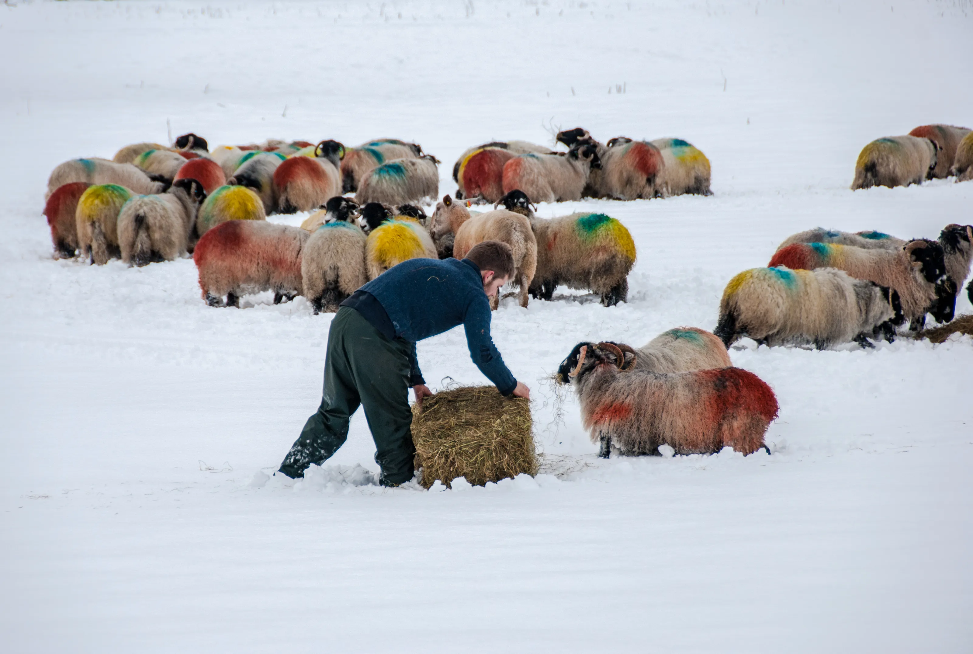 Feeding and Eating